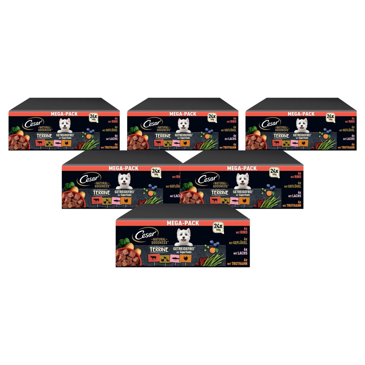 Cesar Natural Goodness granenvrij hondenvoer 4 smaken 24 x 100 g - 6-pack