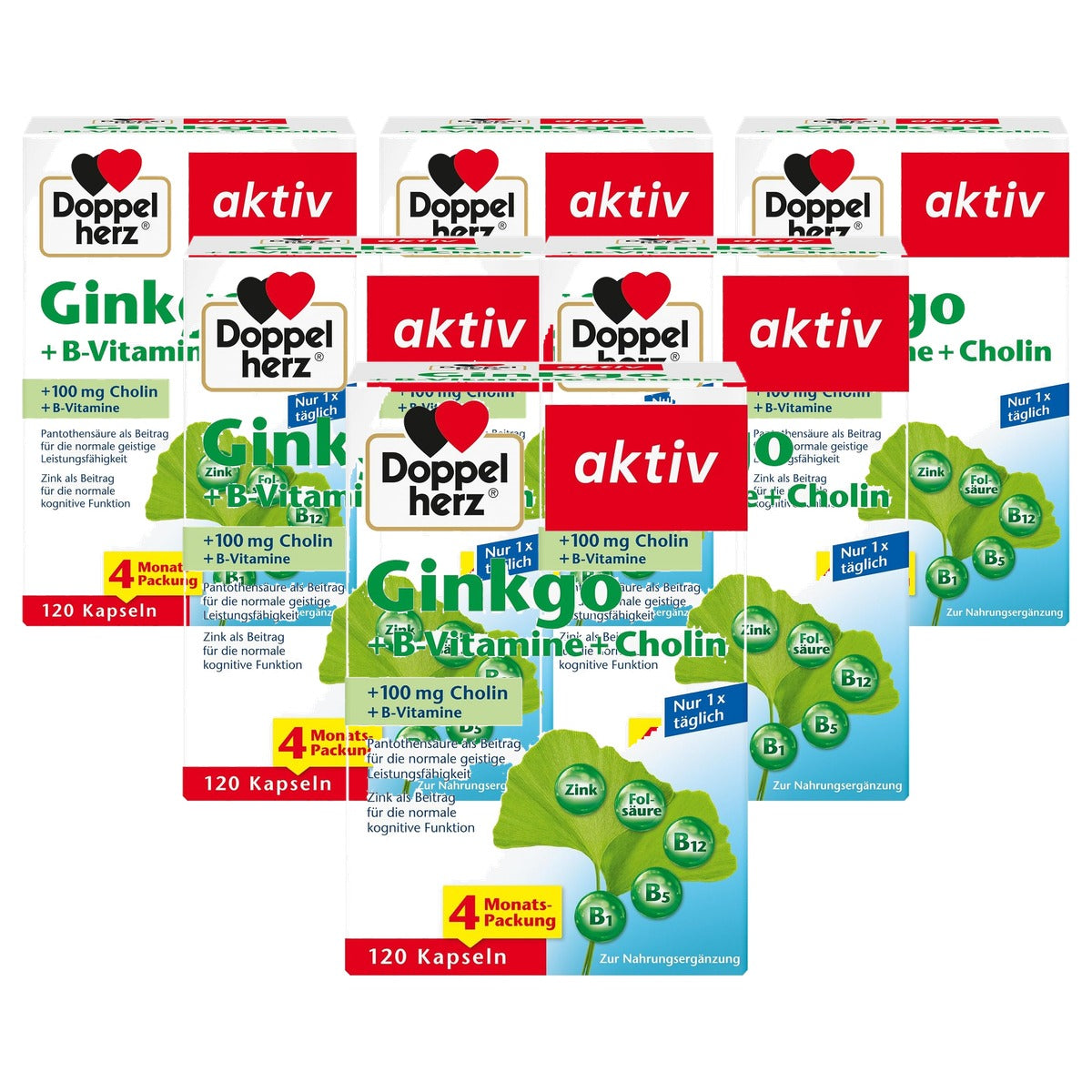 Doppelherz Ginkgo + B-vitamine + Choline 120 Capsules - 6-pack