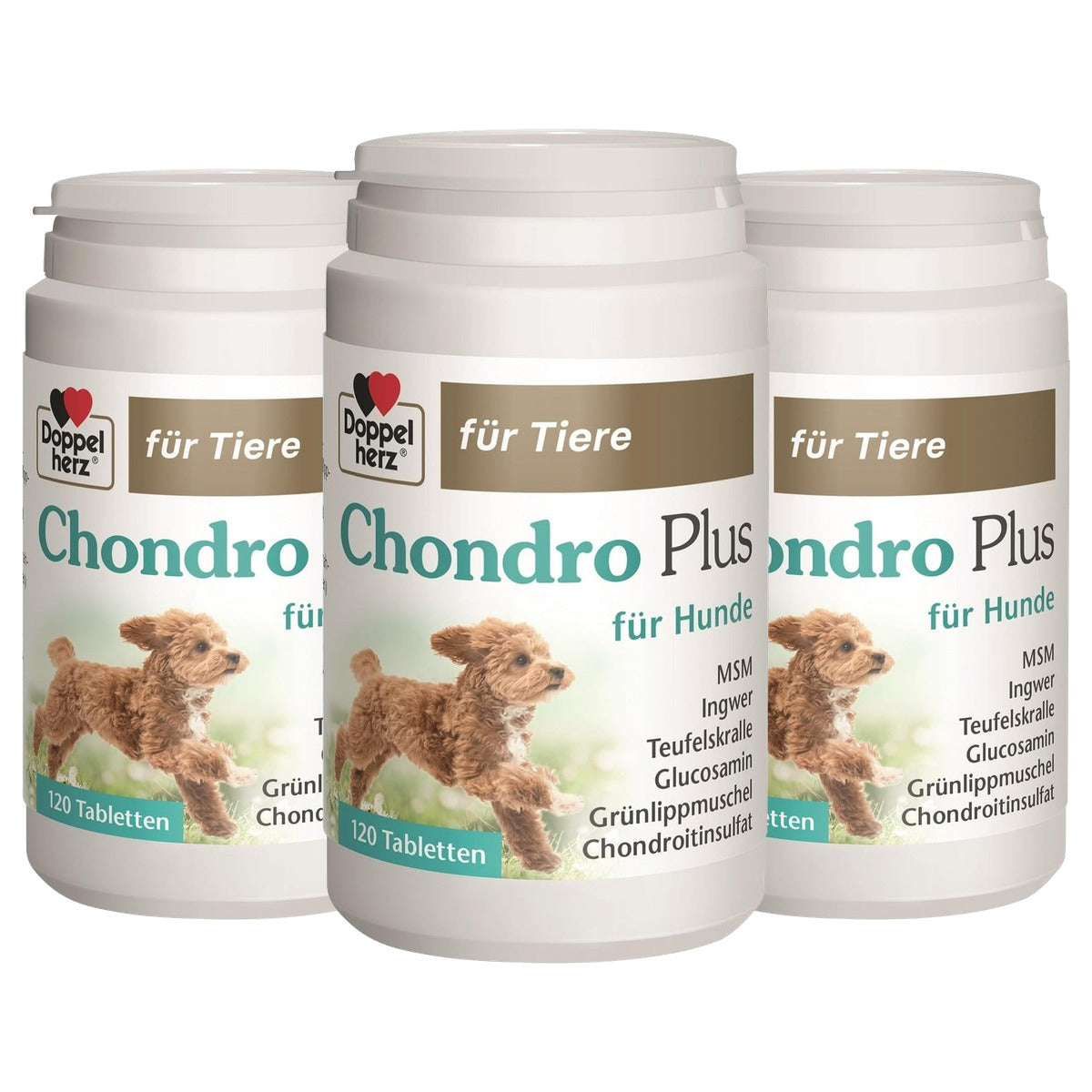 Doppelherz voor Dieren Chondro Plus voor Honden - 3-pack