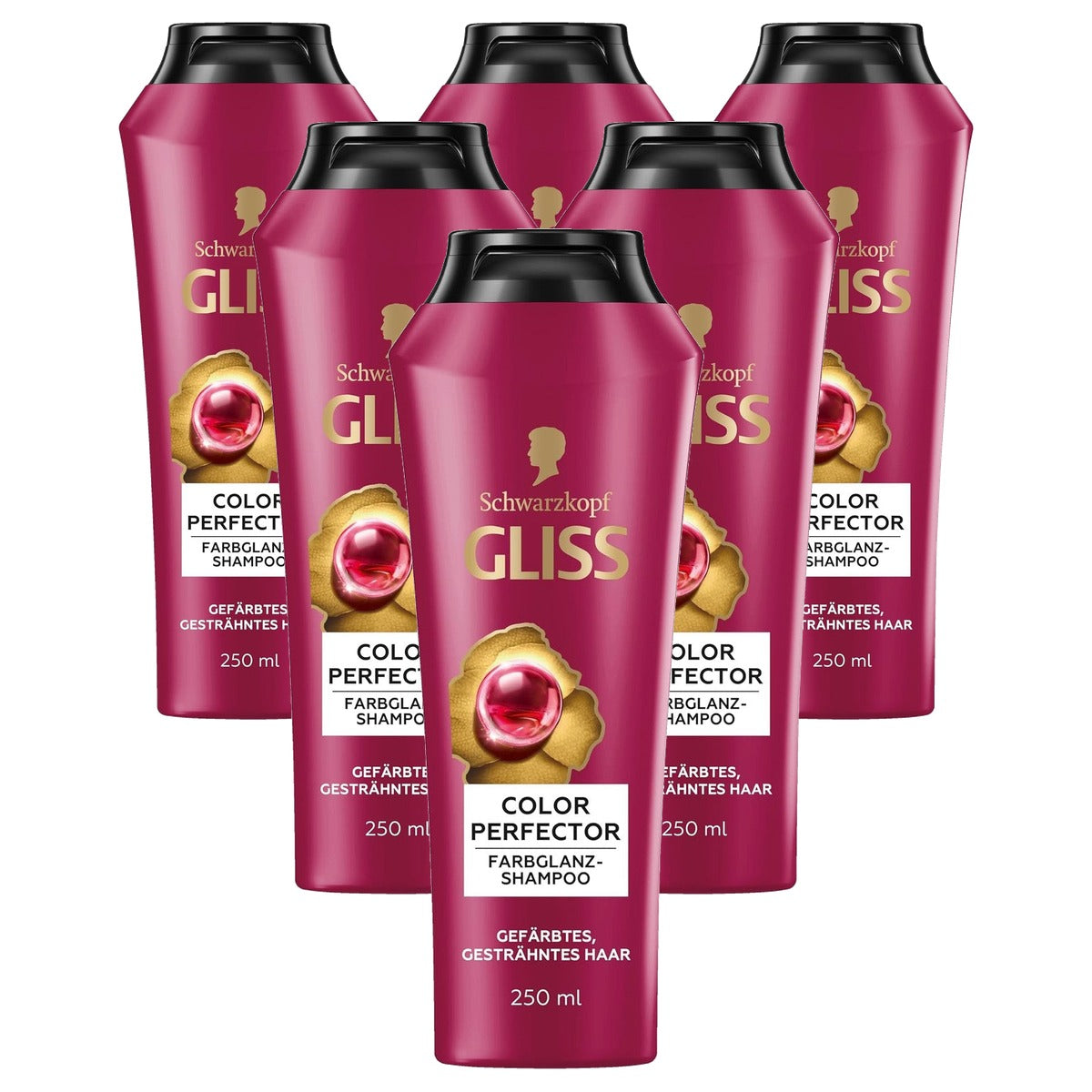 Gliss Kur Color Perfector Shampoo 250 ml - 6 stuks