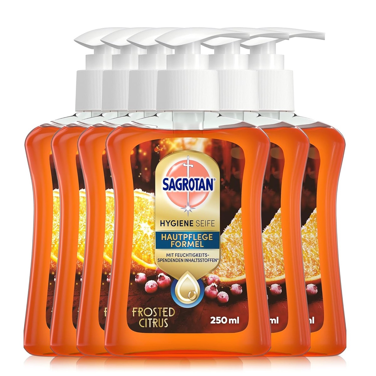 Sagrotan Handzeep Winter Limited Edition Frosted Citrus – hydraterend – 6 x 250 ml – Sagrotan