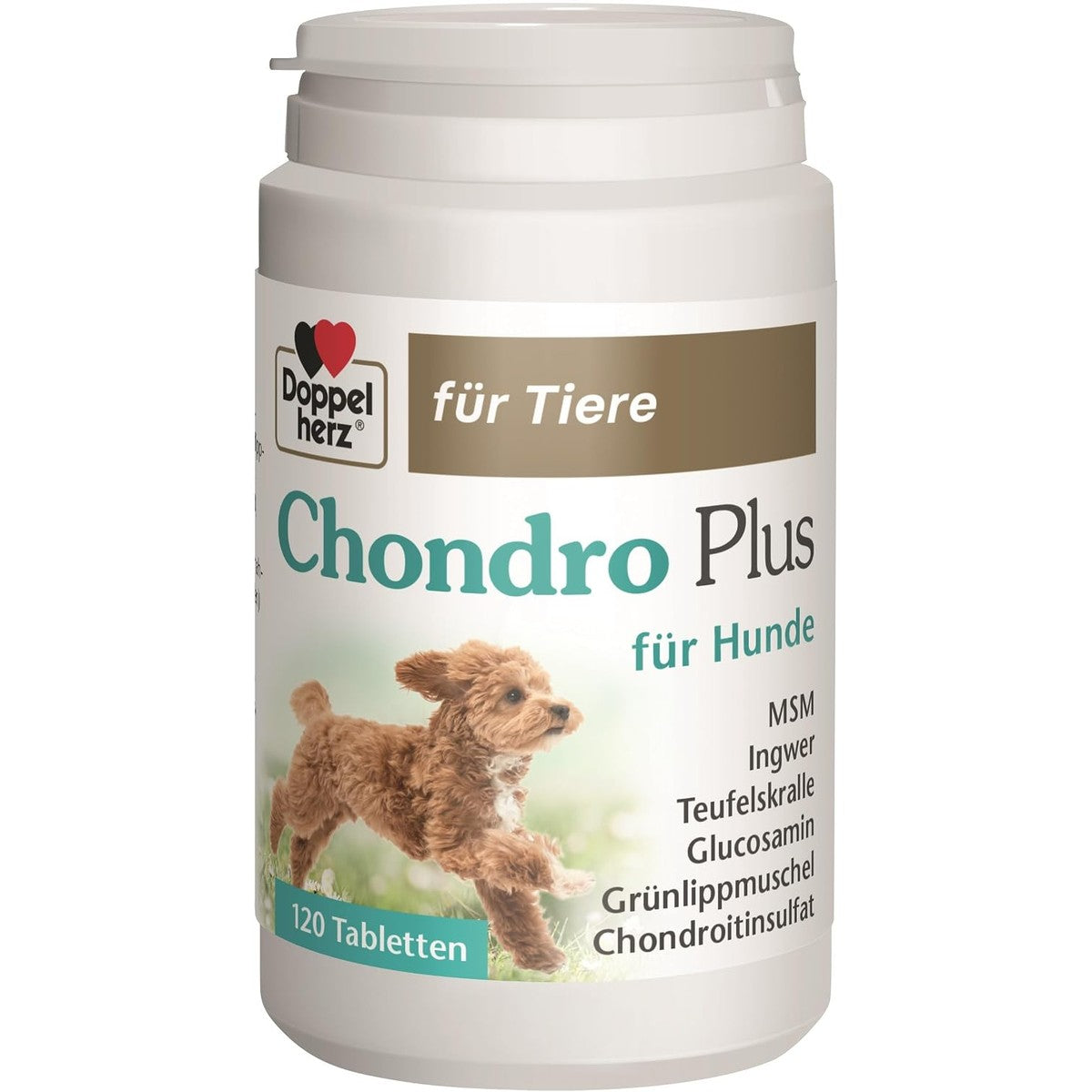 Doppelherz voor dieren Chondro Plus voor honden – Doppelherz