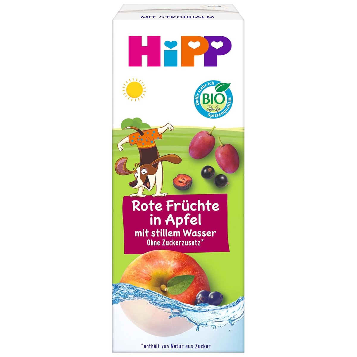 HiPP Biologisch kinderdrank rode vruchten in appel 15 x 200 ml – HiPP