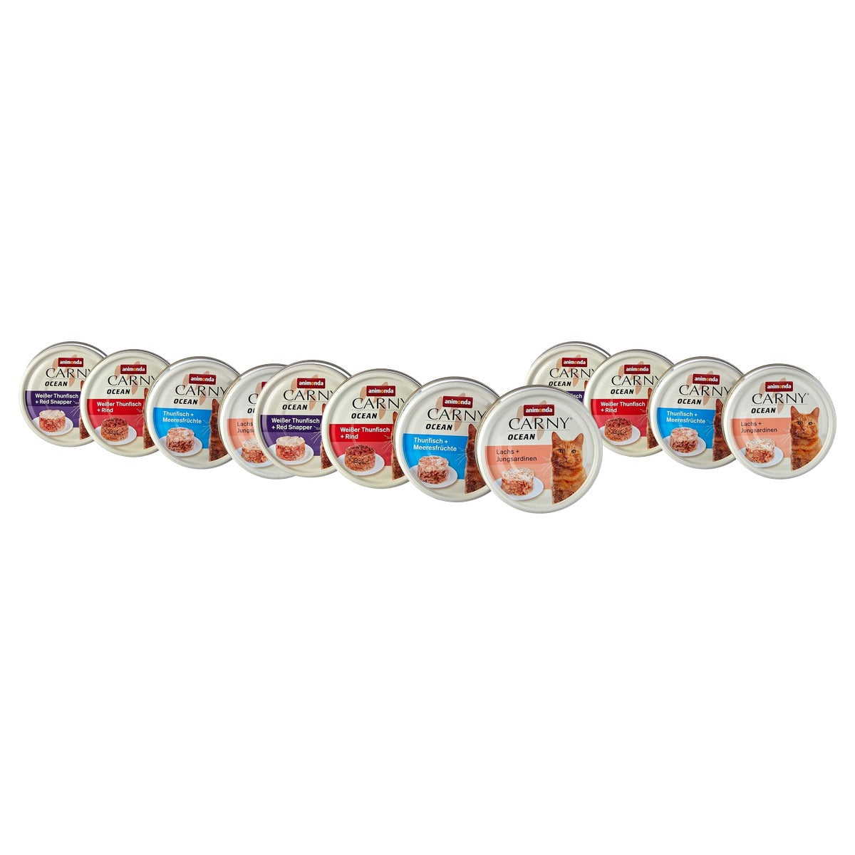 Animonda Carny Ocean natvoer kattenvoer gemengde vissmaken 12 x 80 g - 3-pack