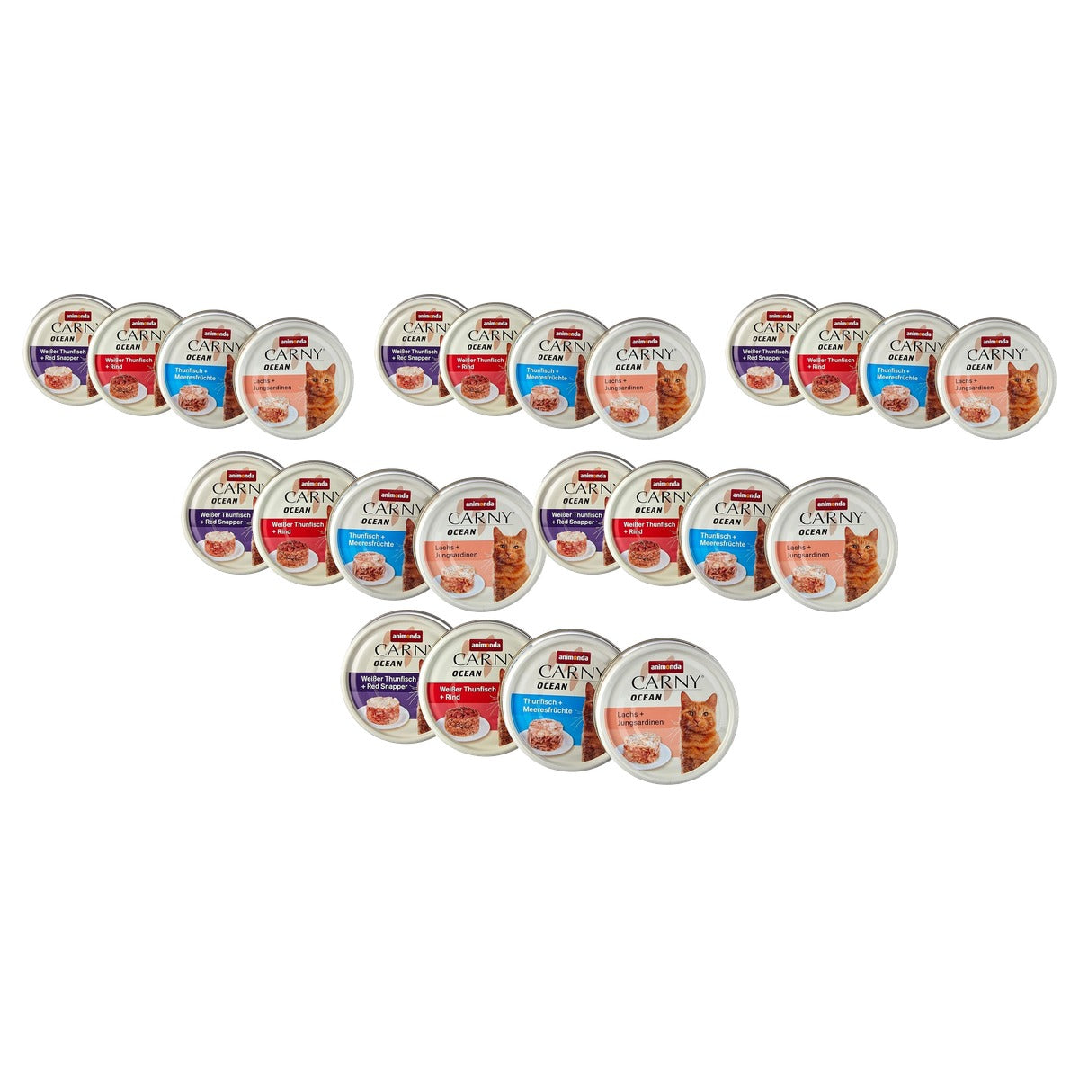 Animonda Carny Ocean natvoer kattenvoer gemengde vissmaken 12 x 80 g - 6-pack