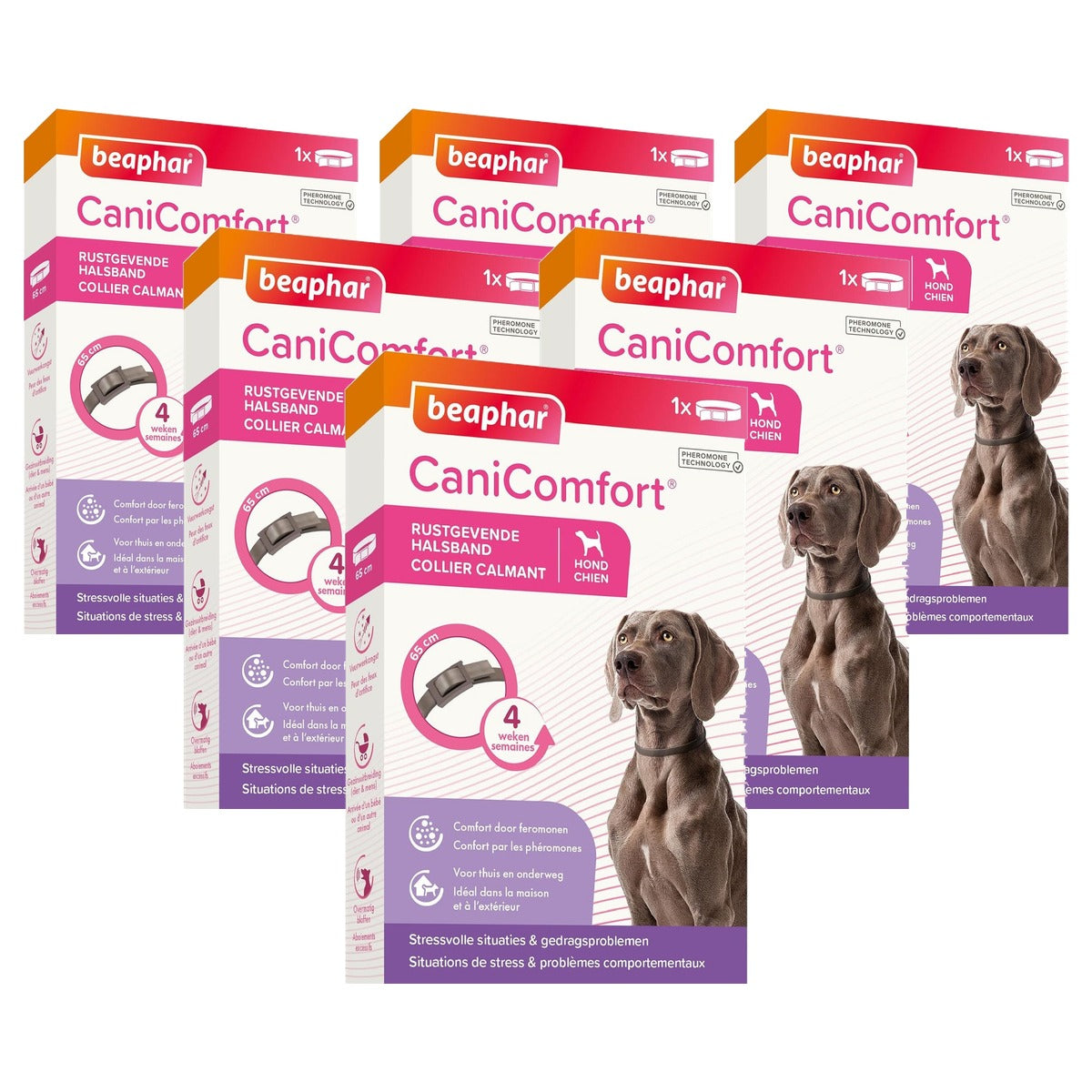 Beaphar Canicomfort hondenhalsband, rustgevend met feromonen, 65 cm - 6-pack