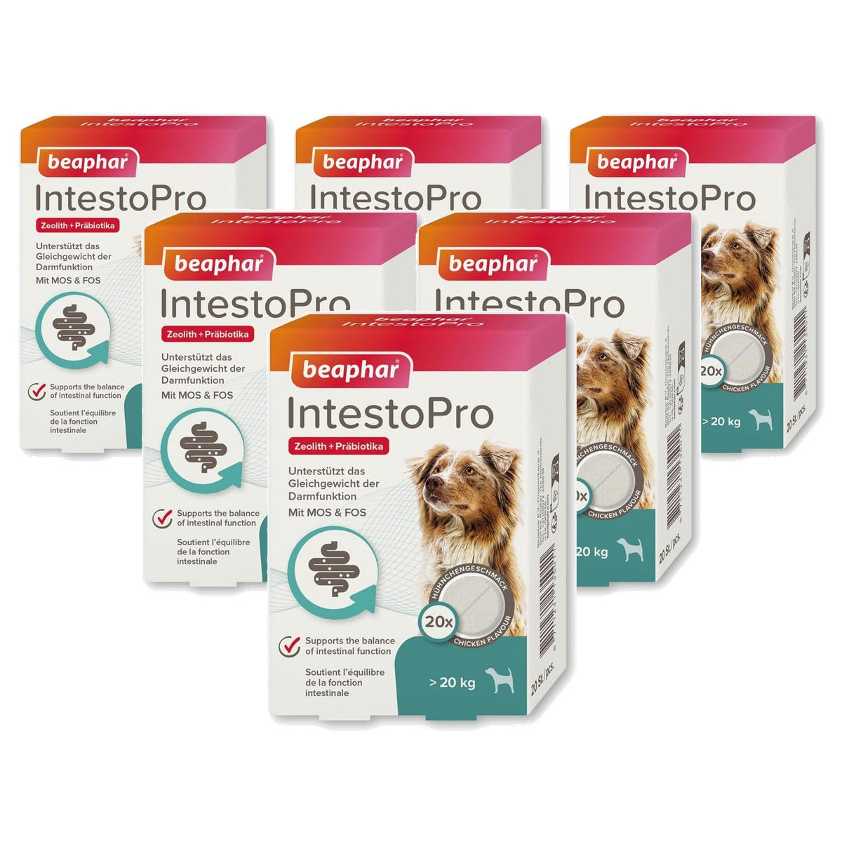Beaphar IntestoPro Tabs voor grote honden 20 stuks - 6-pack