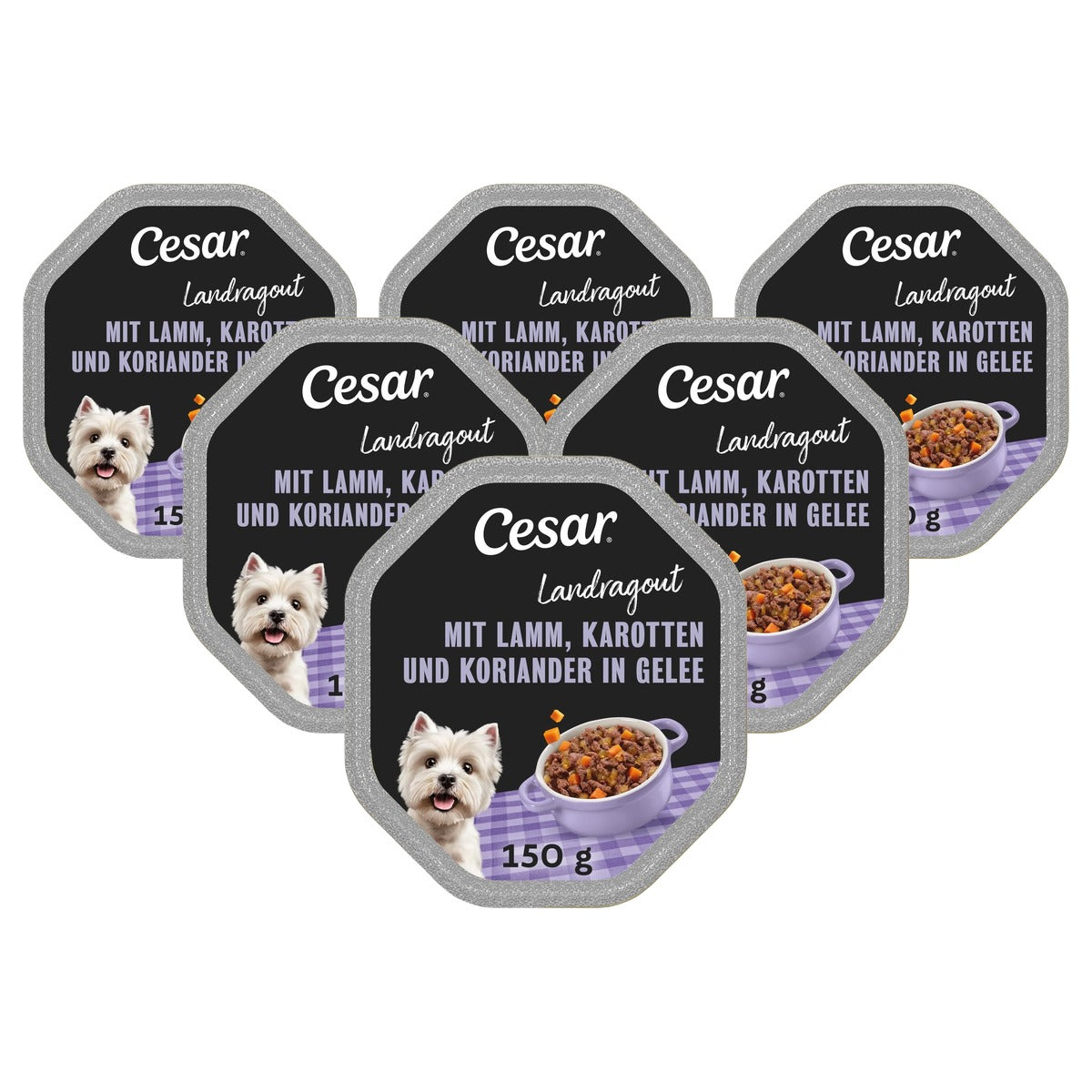 Cesar Landragout hondenvoer lam, wortel en koriander in gelei 14 x 150 g - 6-pack