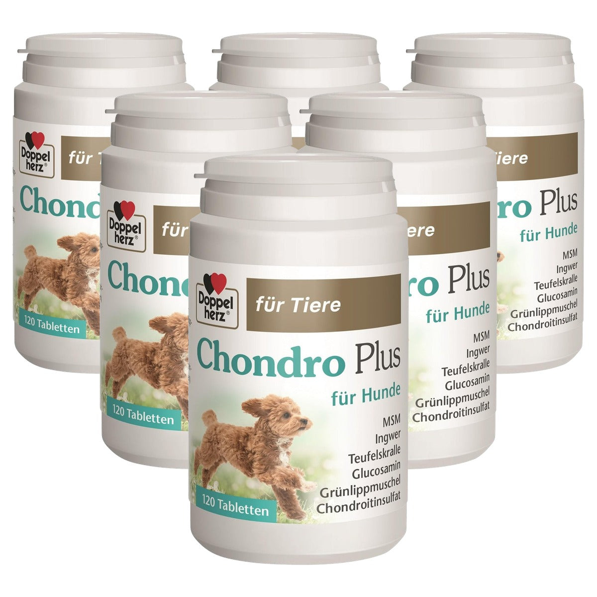 Doppelherz voor Dieren Chondro Plus voor Honden - 6-pack