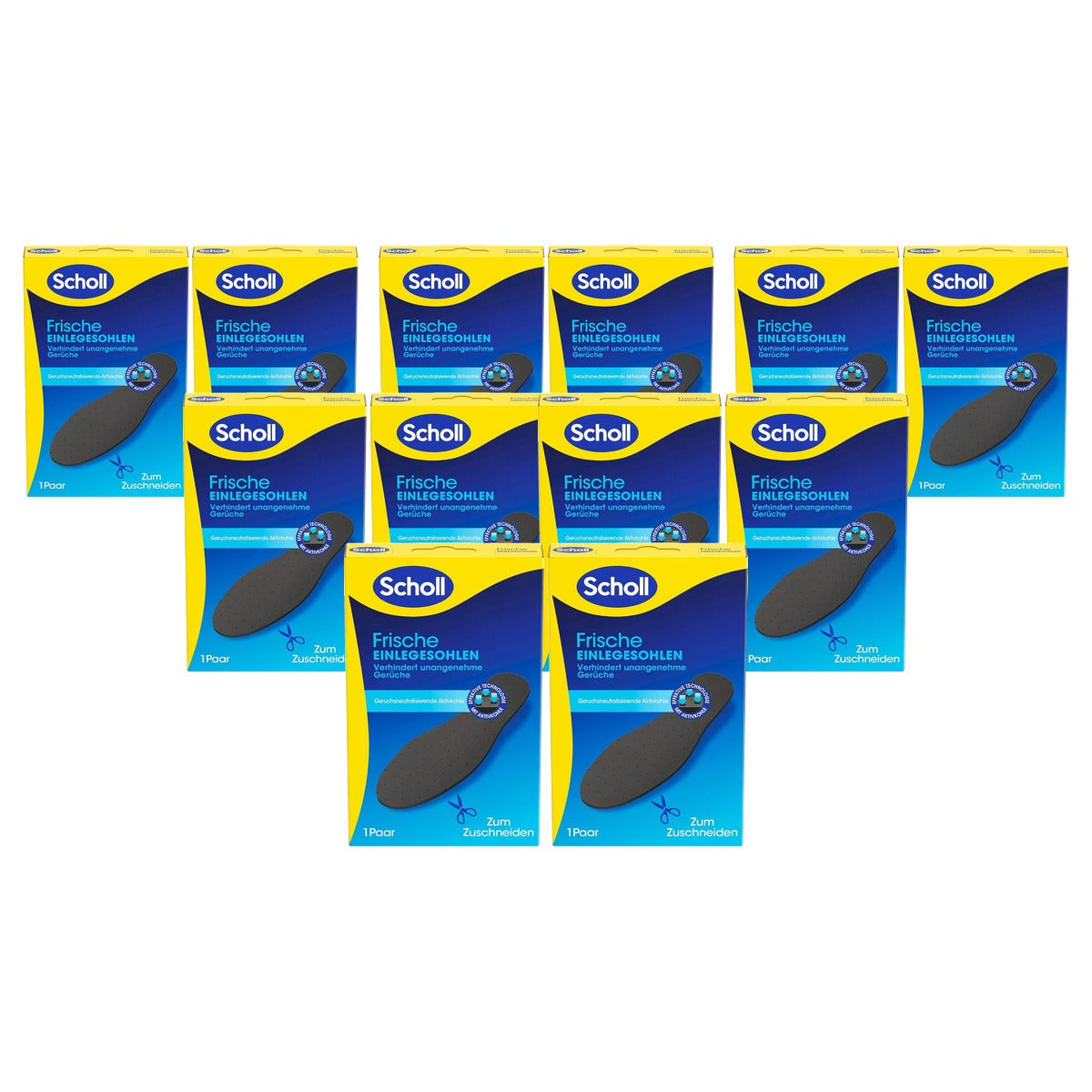 Dr. Scholl's Fresh inlegzolen 36-46 1 paar zwart - 6-pack