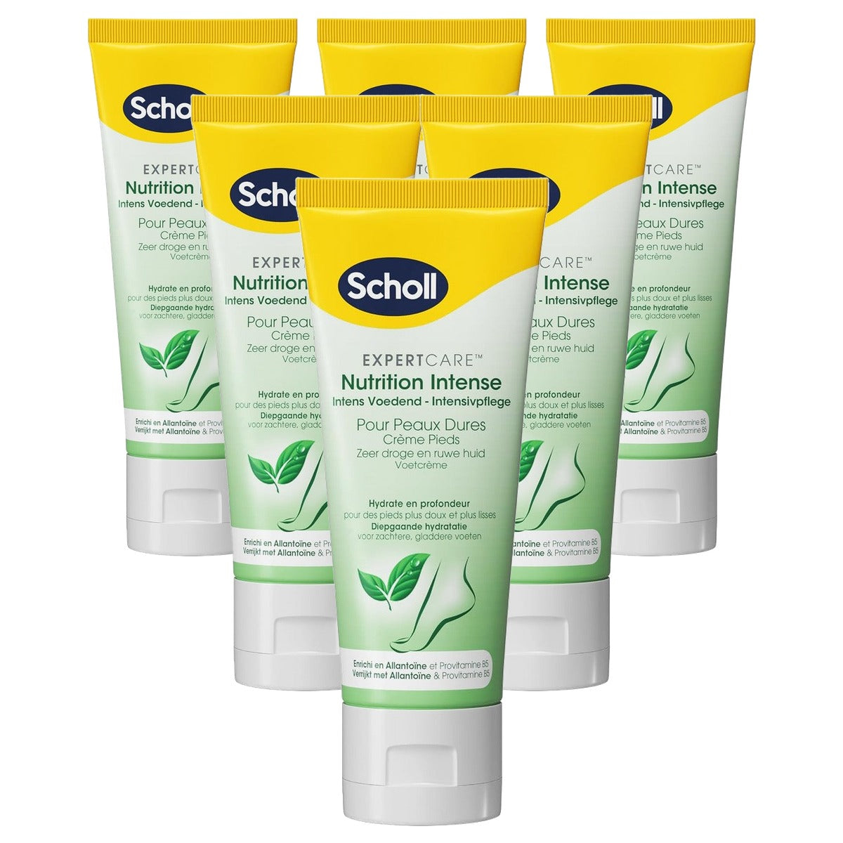 Dr. Scholl's Intensiv Nutrition Voetcrème Harde Huid 6 x 75 ml - Voordeelverpakking