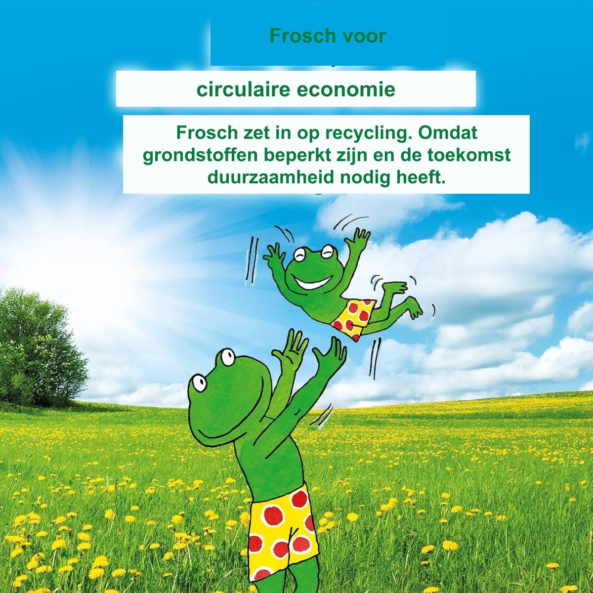 Frosch Baby Flessenreiniger Navulverpakking 2-Pack – 2x 500 ml Afwasmiddel voor Babyflessen en Spenen