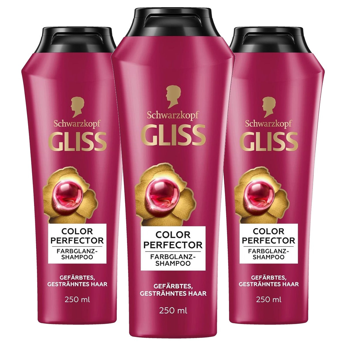 Gliss Kur Color Perfector Shampoo 250 ml - 3 stuks