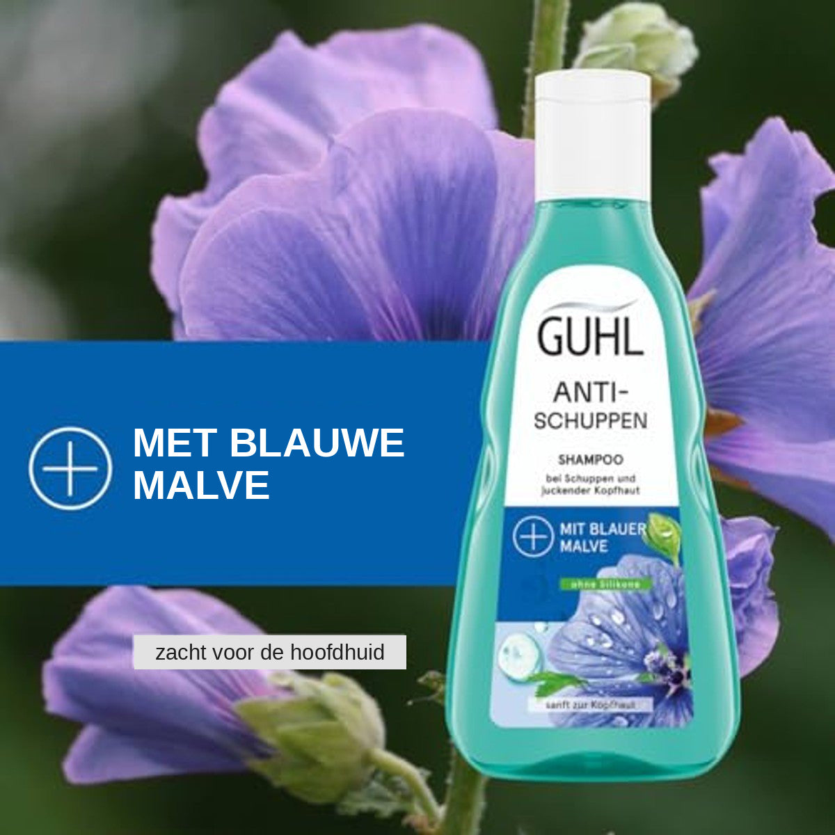 Guhl Anti-Roos Shampoo 250 ml met Blauwe Malva en Zink PCA voor een Jeukende Hoofdhuid