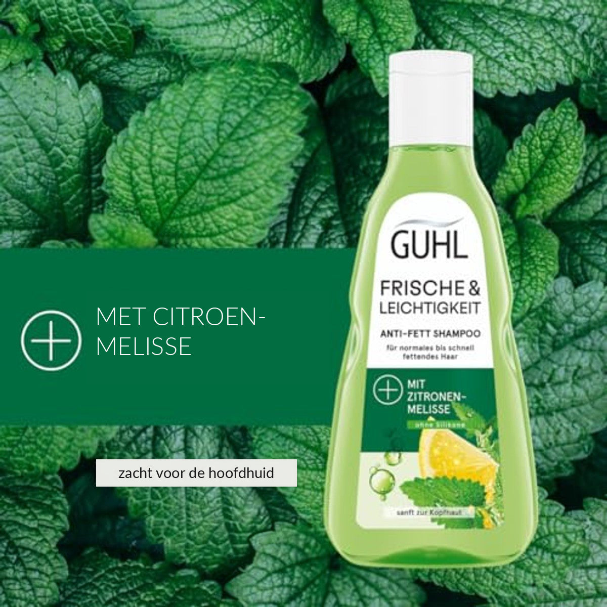 Guhl Fris & Luchtig Anti-Vet Shampoo 250 ml met Citroenmelisse voor Vet Haar