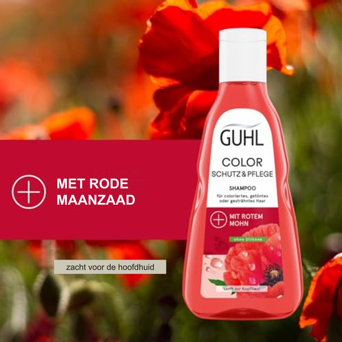 Guhl Kleurbehoud & Verzorging Shampoo 250 ml - 6 stuks