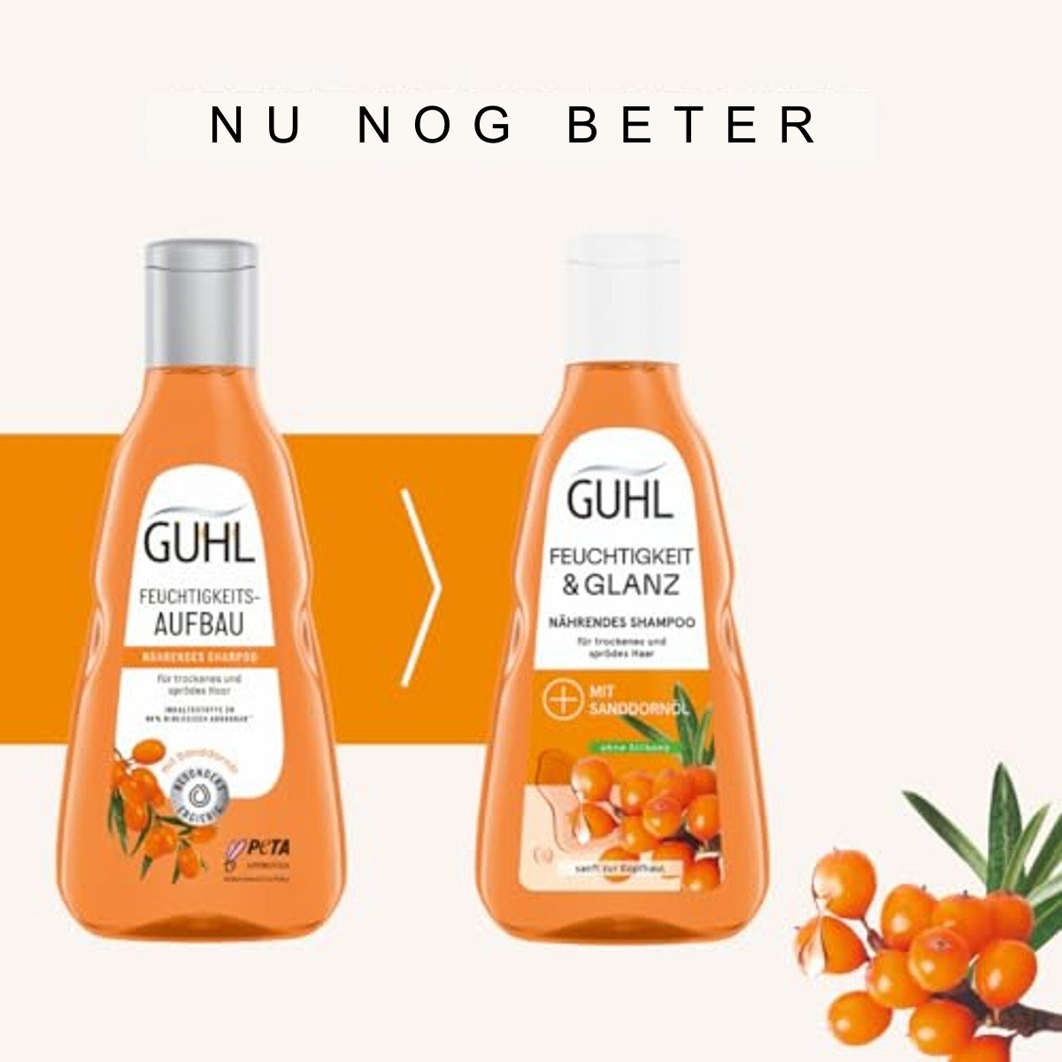 Guhl Vochtopbouw Shampoo 250 ml met Duindoornolie en Hyaluron voor Droog Haar