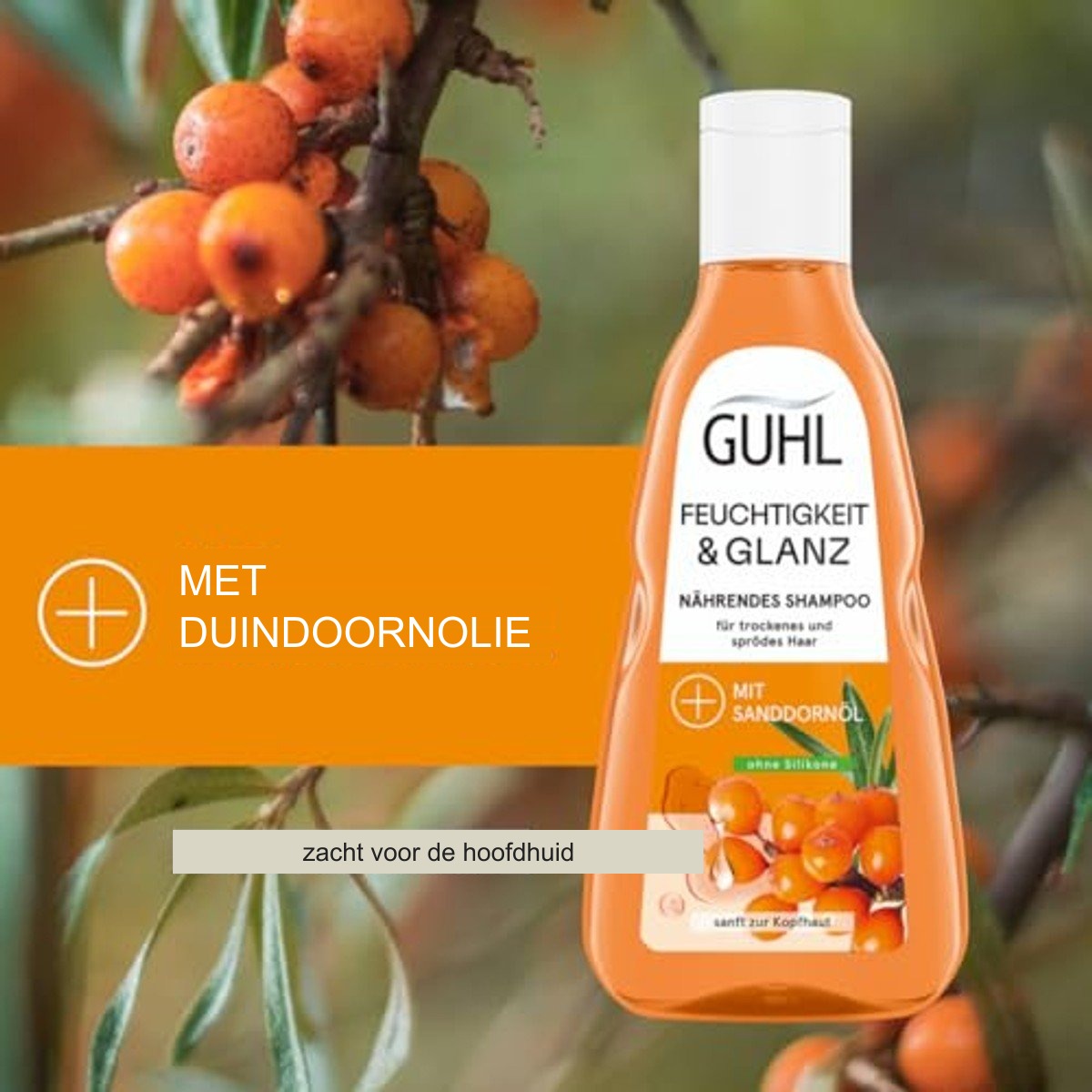 Guhl Vochtopbouw Shampoo 250 ml met Duindoornolie en Hyaluron voor Droog Haar