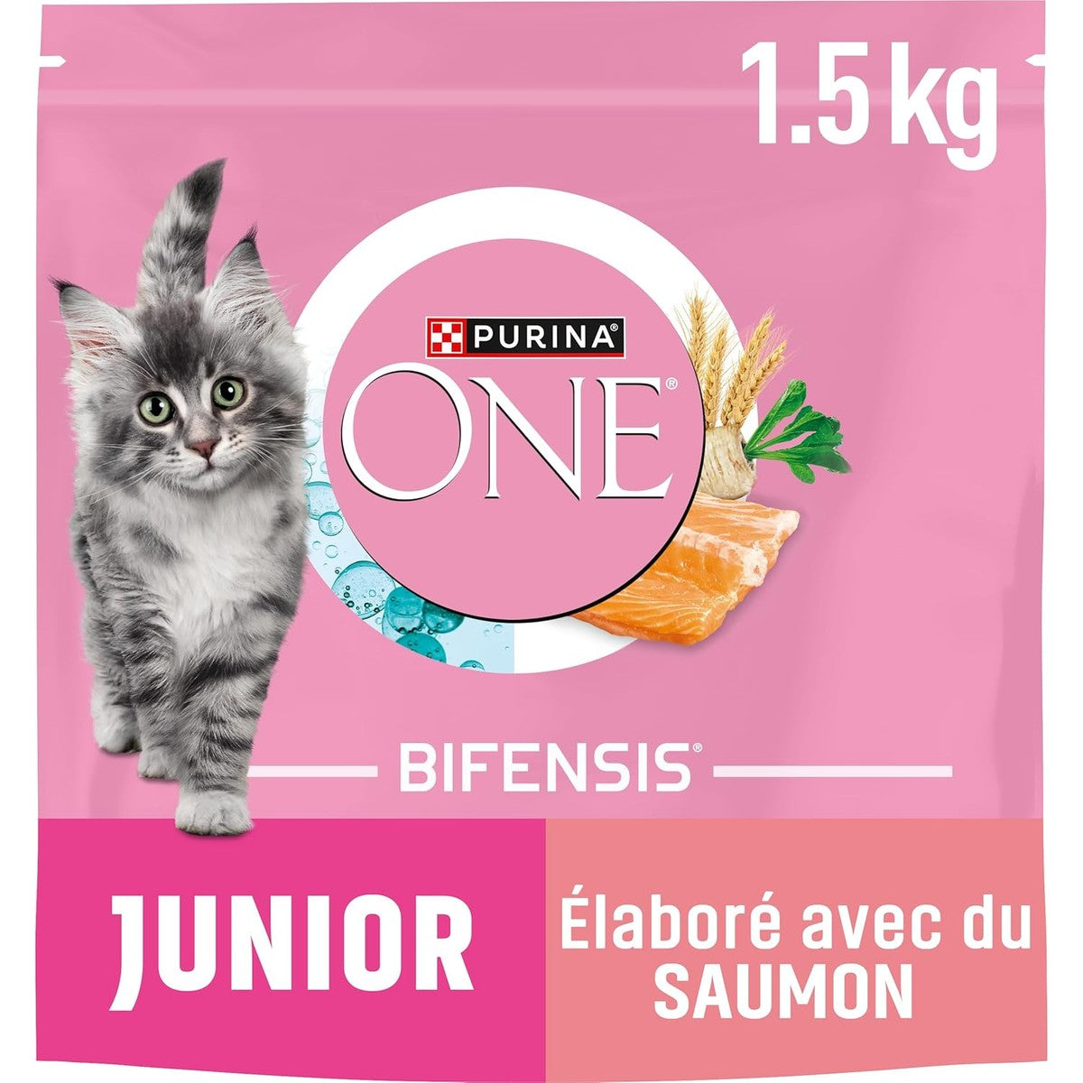 PURINA ONE | BIFENSIS | Kittens tot 12 maanden en katten tijdens de zwangerschap | droogvoer | helpt bij de gezonde ontwikkeling van de vitale functies van de kat | zalm | zak | 1,5 kg – PURINA ONE