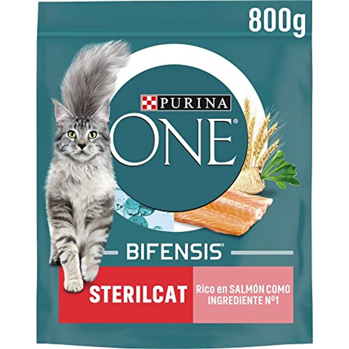 Purina ONE Bifensis kattenvoer, gesteriliseerd, voor volwassenen, met zalm en granen, 8 zakjes van 800 g | Kroketten voor volwassen katten, gesteriliseerd met zalm en tarwe. Voeding voor het welzijn van de spijsvertering – PURINA ONE