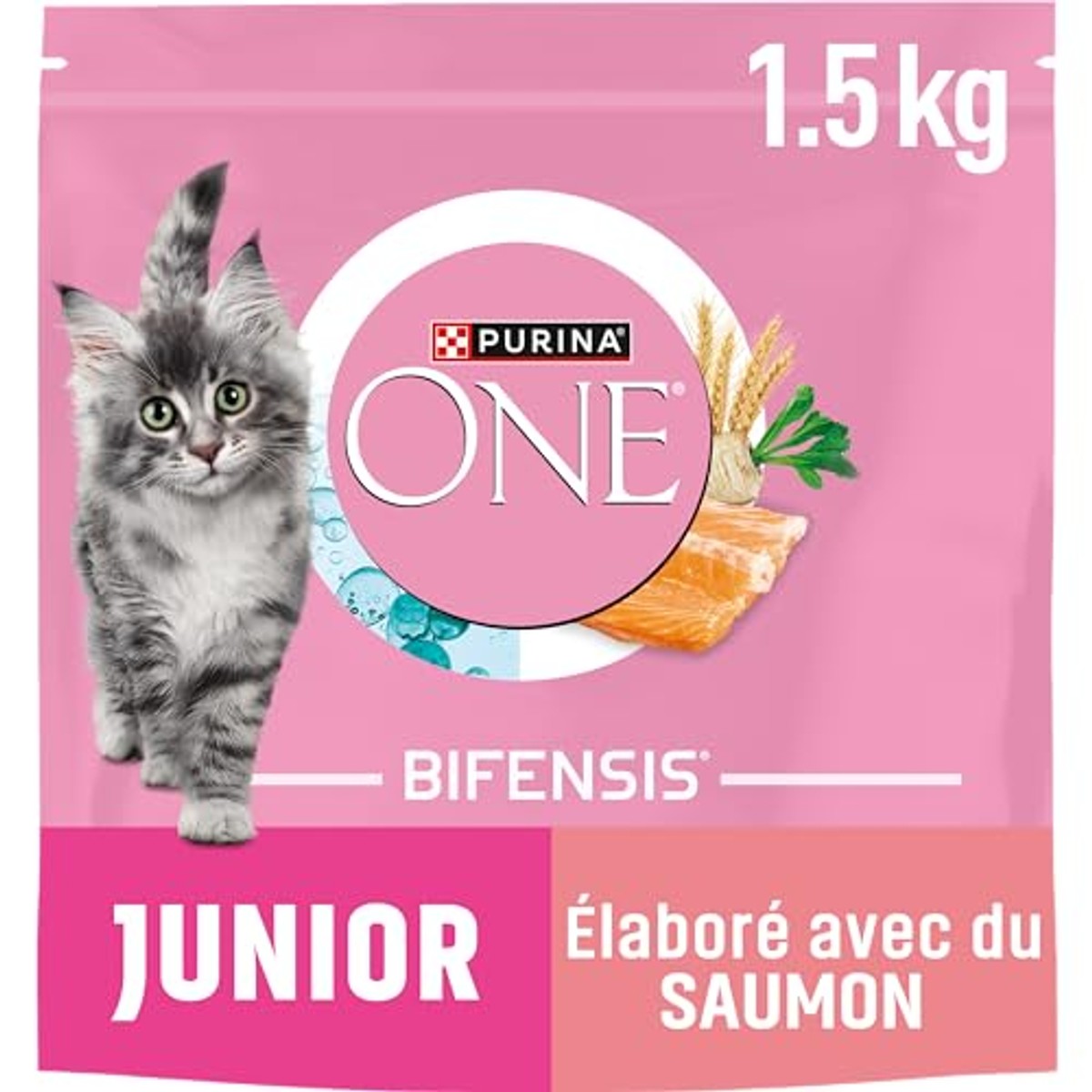 Purina One Bifensis Kitten droogvoer kat zalm 1 x 1,5 kg - 6-pack