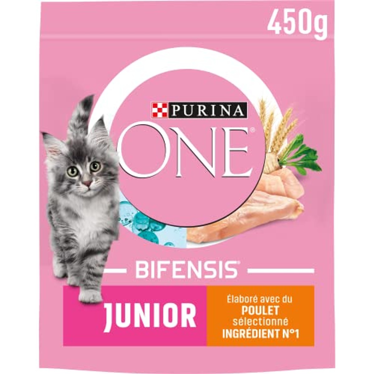 Purina One Junior droogvoer kat kip & volkoren 450 g - 6-pack