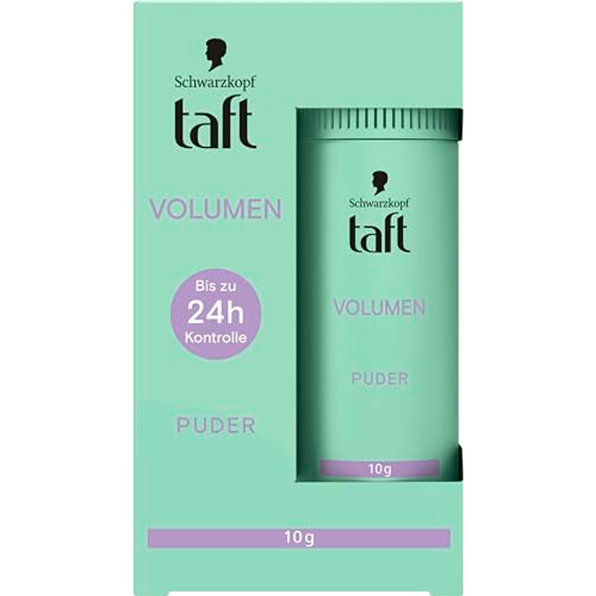 TAFT Haarstyling Poeder Volume 6 x 10 g - Voordeelverpakking