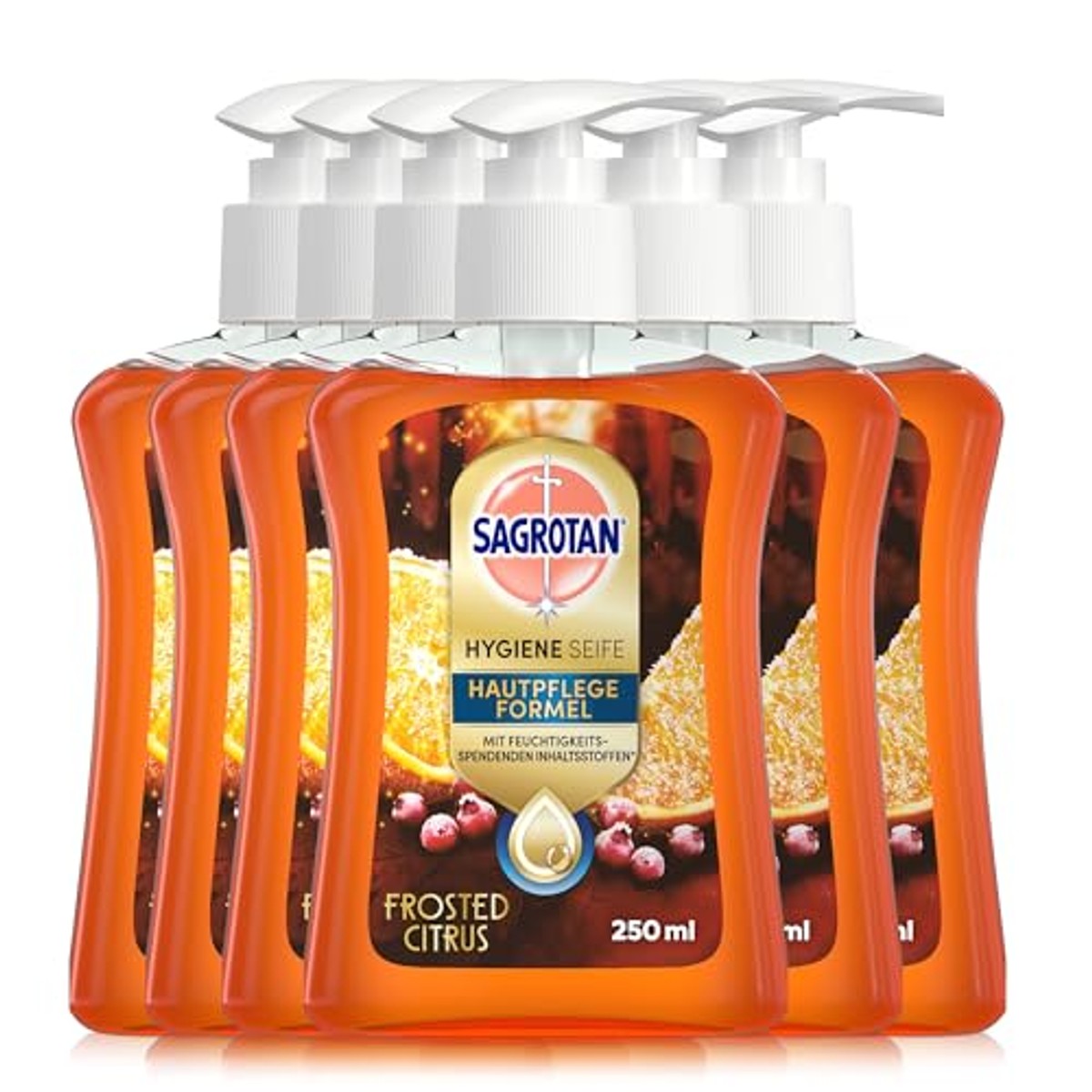 Sagrotan handzeep Frosted Citrus winter editie 6 x 250 ml - 6-pack