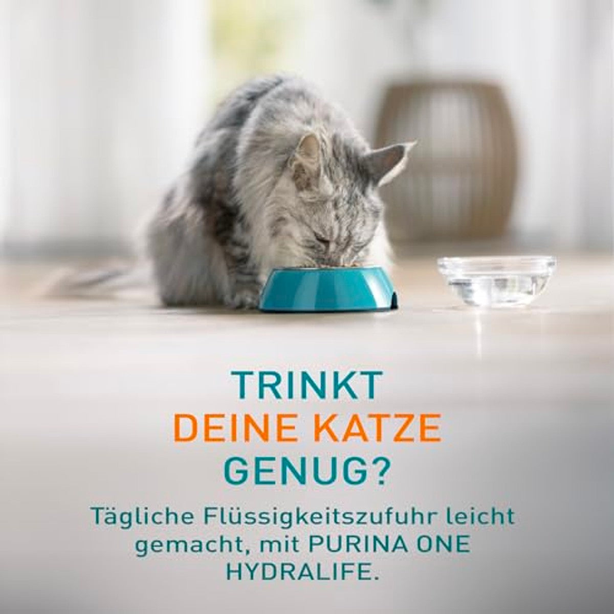 Purina One Hydralife natvoer kattenvoer kip 48 x 50 g - 6-pack