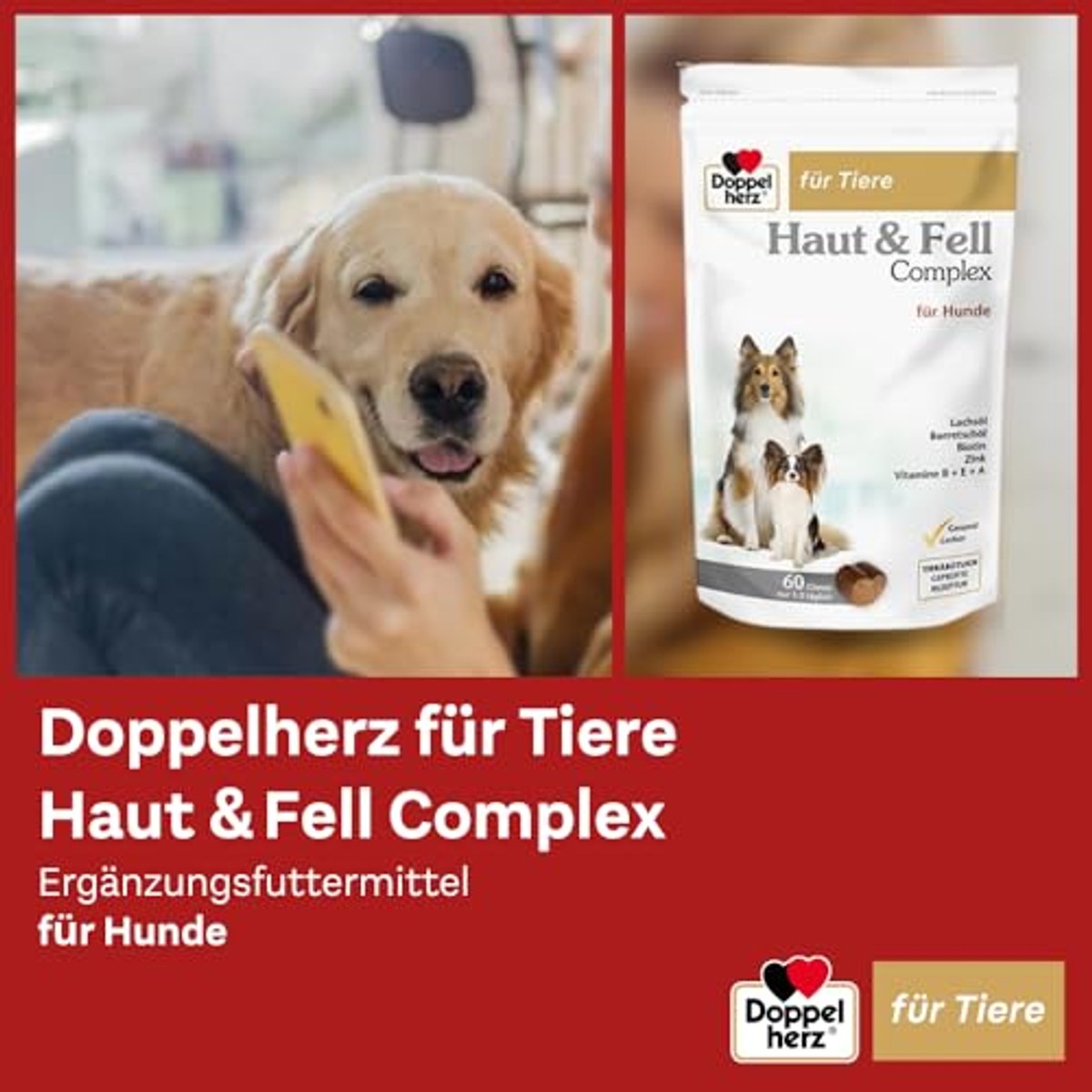 Doppelherz Huid- en vachtcomplex voor honden, ter ondersteuning van de huidfunctie bij dermatose en overmatige haaruitval, 60 kaken – Doppelherz