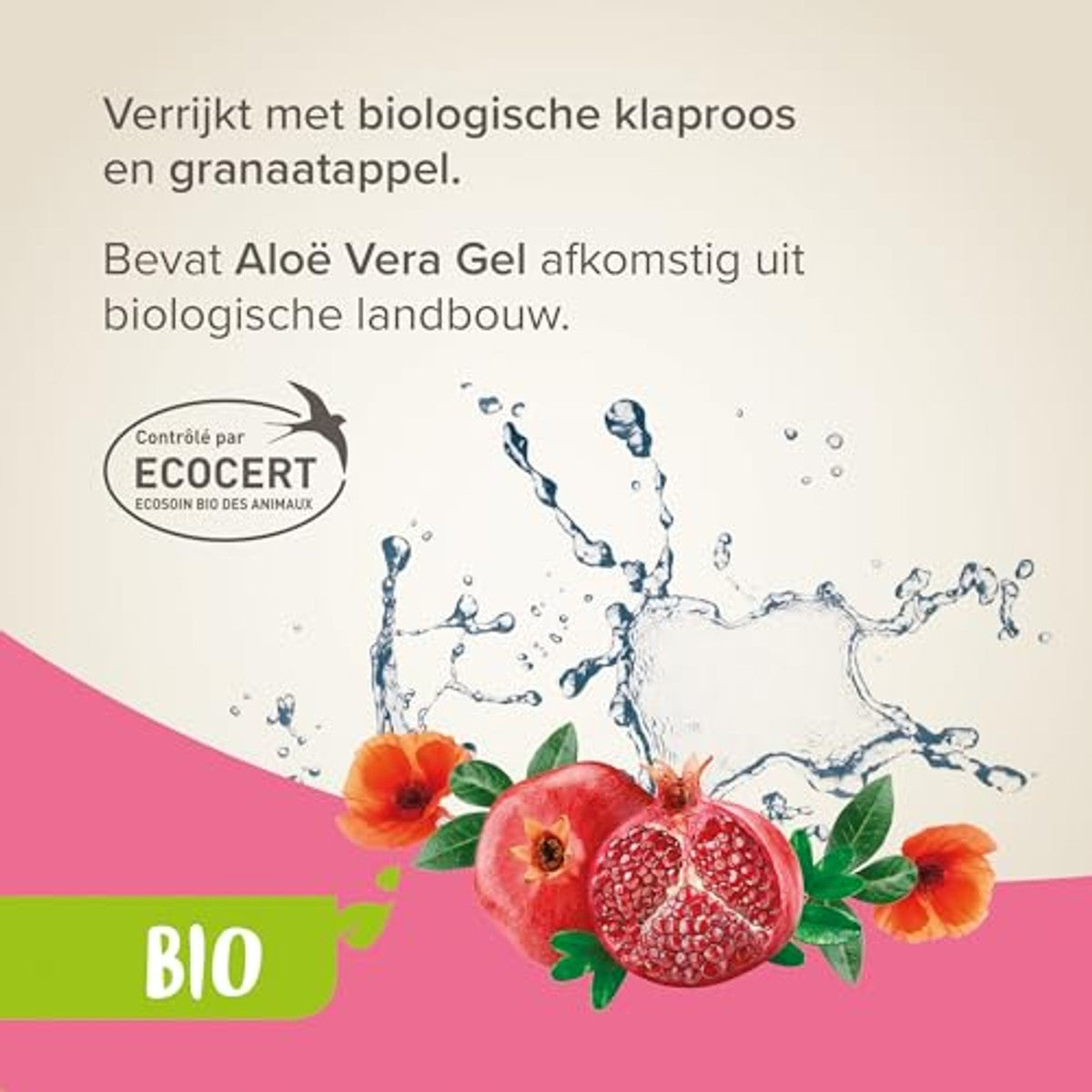 Beaphar ECOCERT Droge shampoo voor honden en katten, bevat aloë vera, bourretcholie en biologische munt, pH-neutraal, zonder parabenen, siliconen, kleuren, alcohol, 200 ml – beaphar