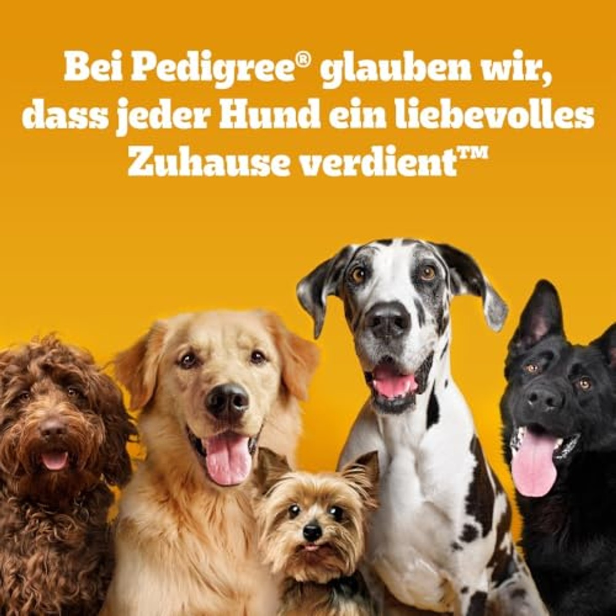 Pedigree Mini-hapjes hondensnack rund & kaas - 3-pack