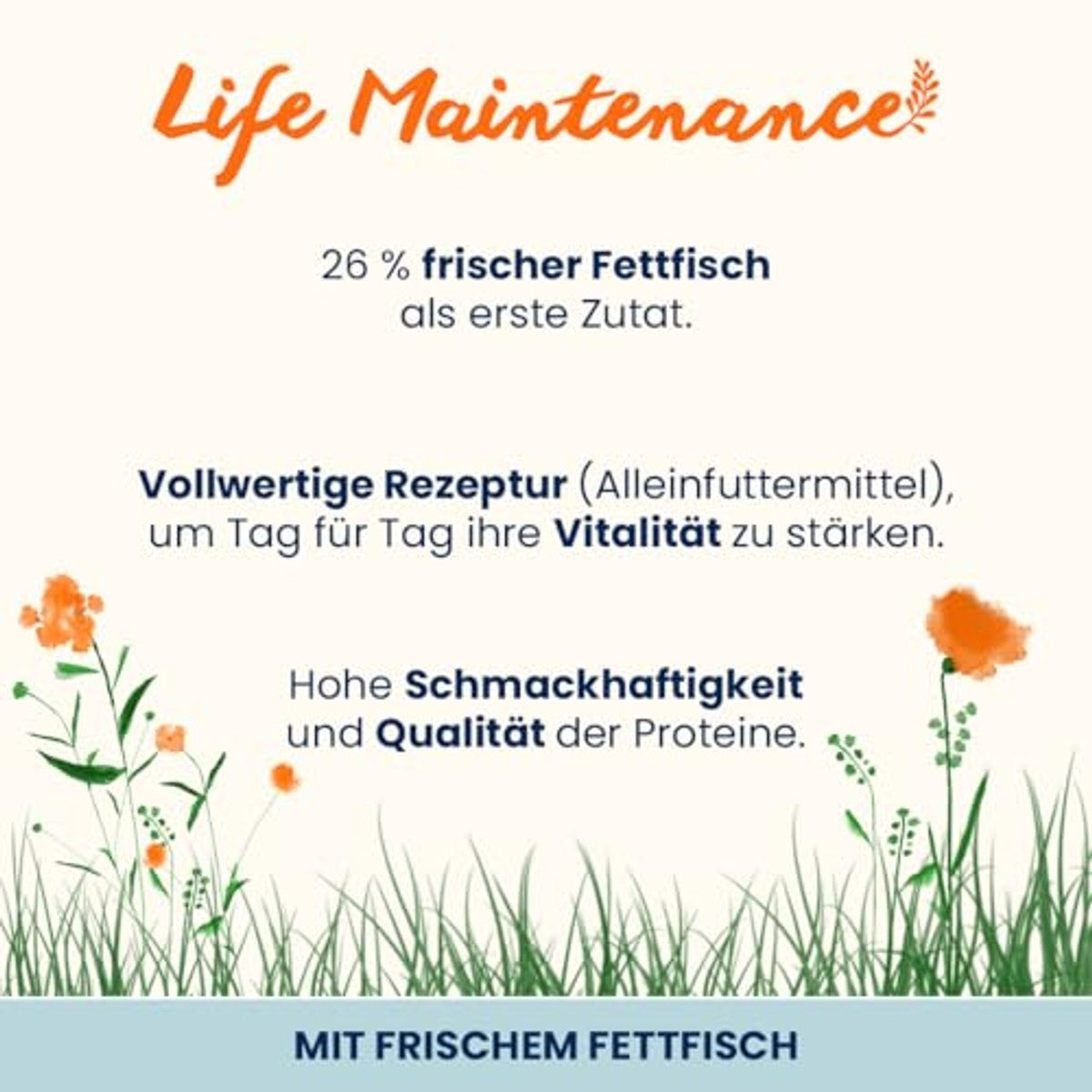 Almo Nature Holistic Maintenance droogvoer voor katten met verse vet, 2 kg – almo nature