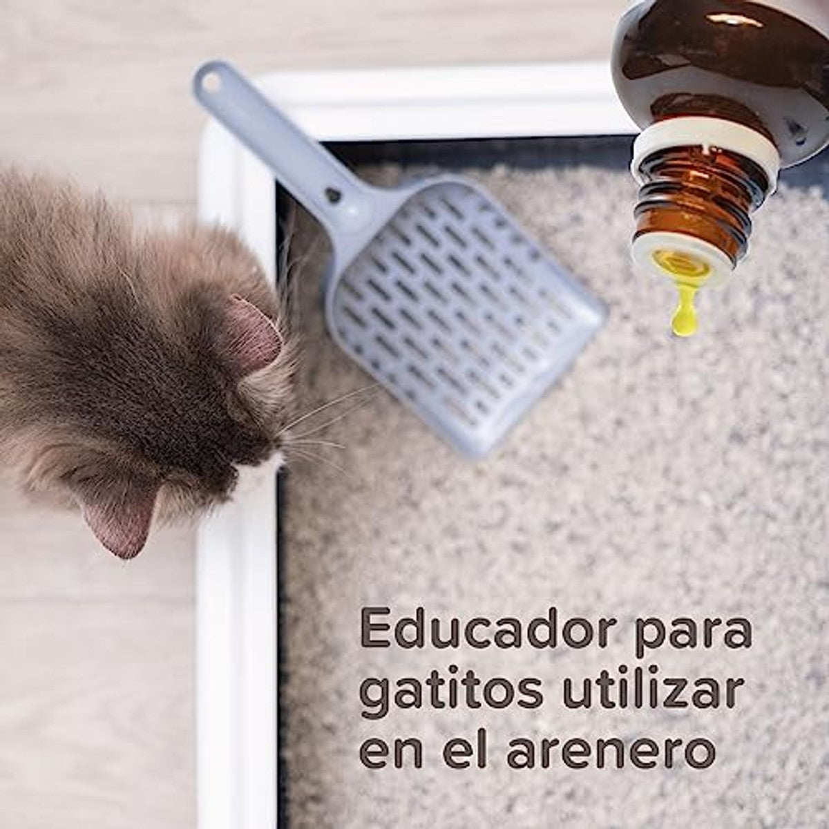 Beaphar Educator Kat Trainer - 3-pack – foto 3