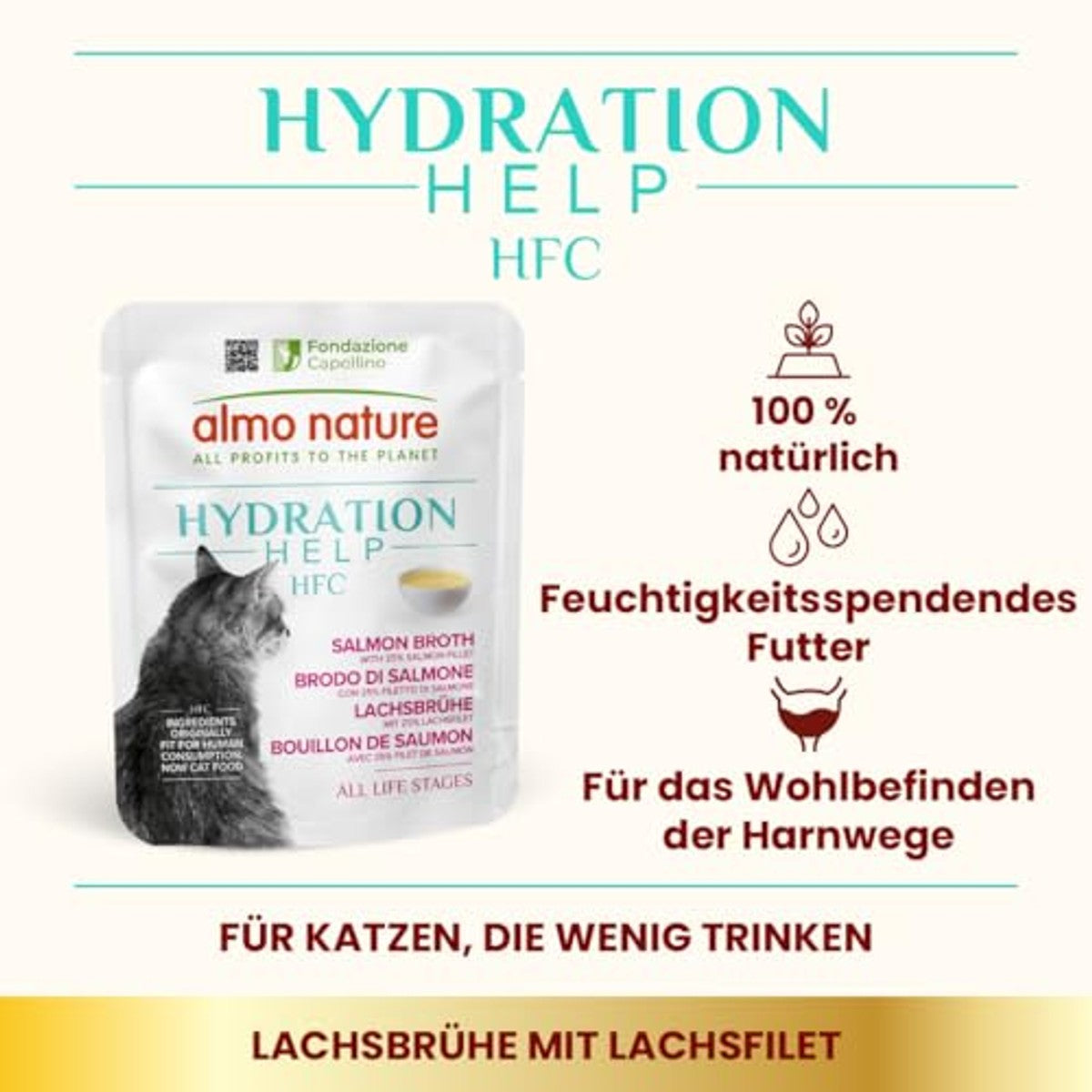 Almo Nature HFC Hydration Help Natvoer Zalmbouillon en Zalmfilet 24 x 50 g - 6-pack