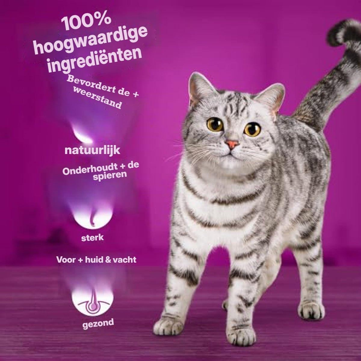 Whiskas Tasty Mix natvoer kattenvoer Country in Sauce 52 x 85 g – foto 3