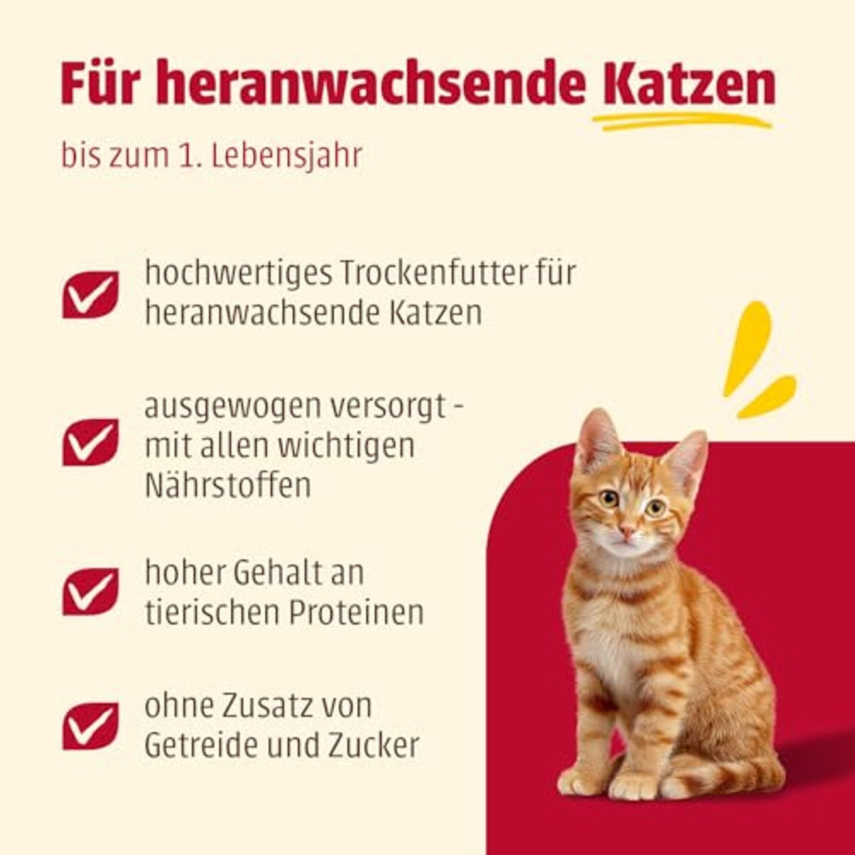 animonda Carny Kitten droogvoer kat kip 1,75 kg - 3-pack