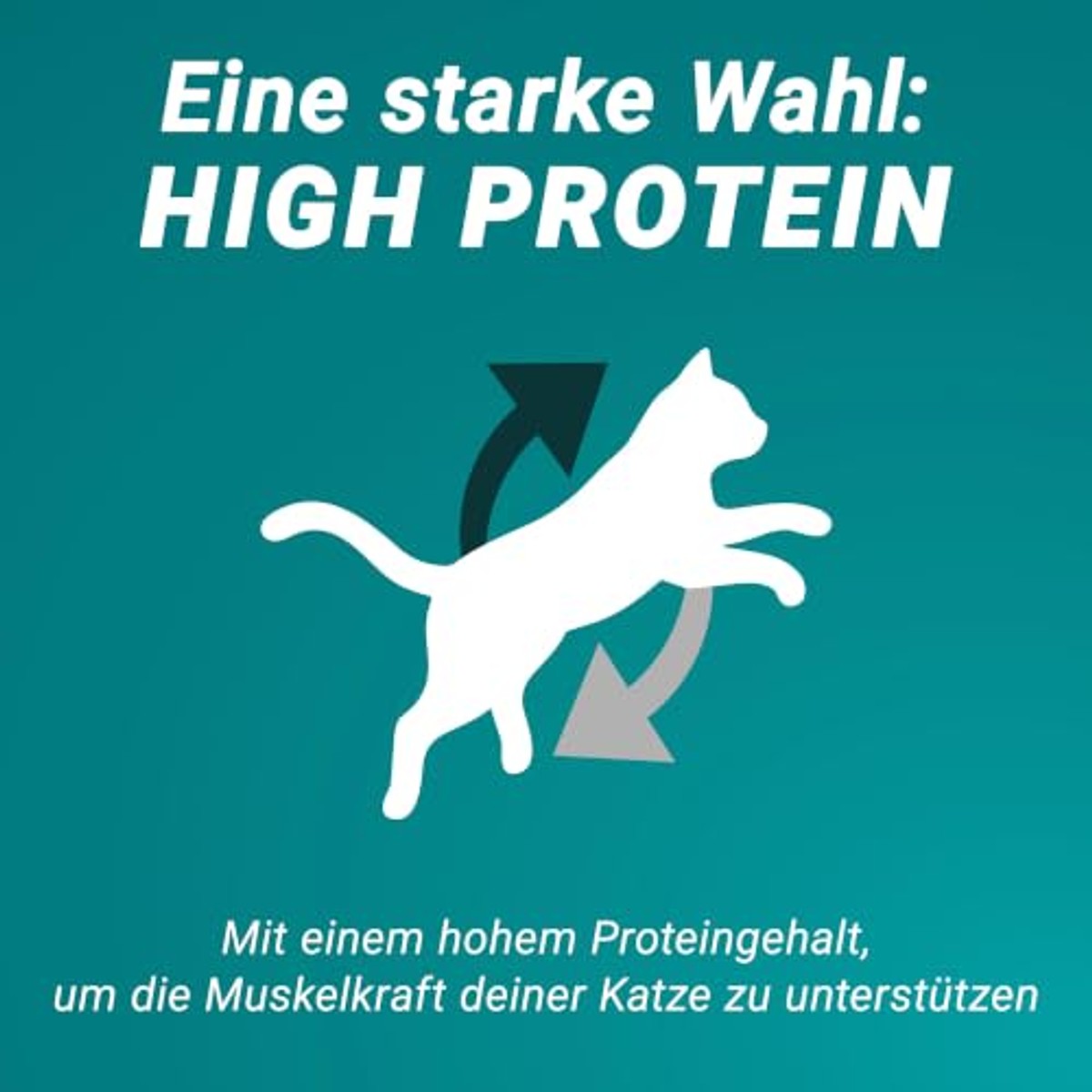 Purina One High Protein droogvoer kat kip 6 x 900 g - 3-pack