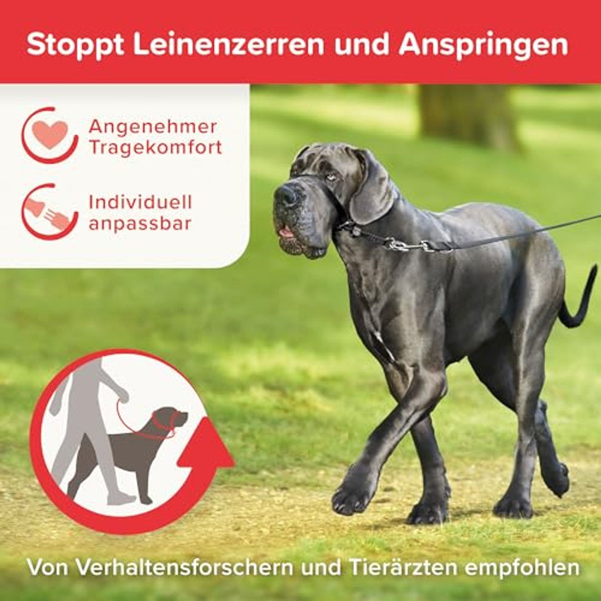 BEAPHAR - Gentle Leader® - Hondenhalster voor grote rassen - Gemaakt van nylon - Trainingshulp voor controle en begeleiding - Aanbevolen door diertrainers - Maat L - Zwart – beaphar