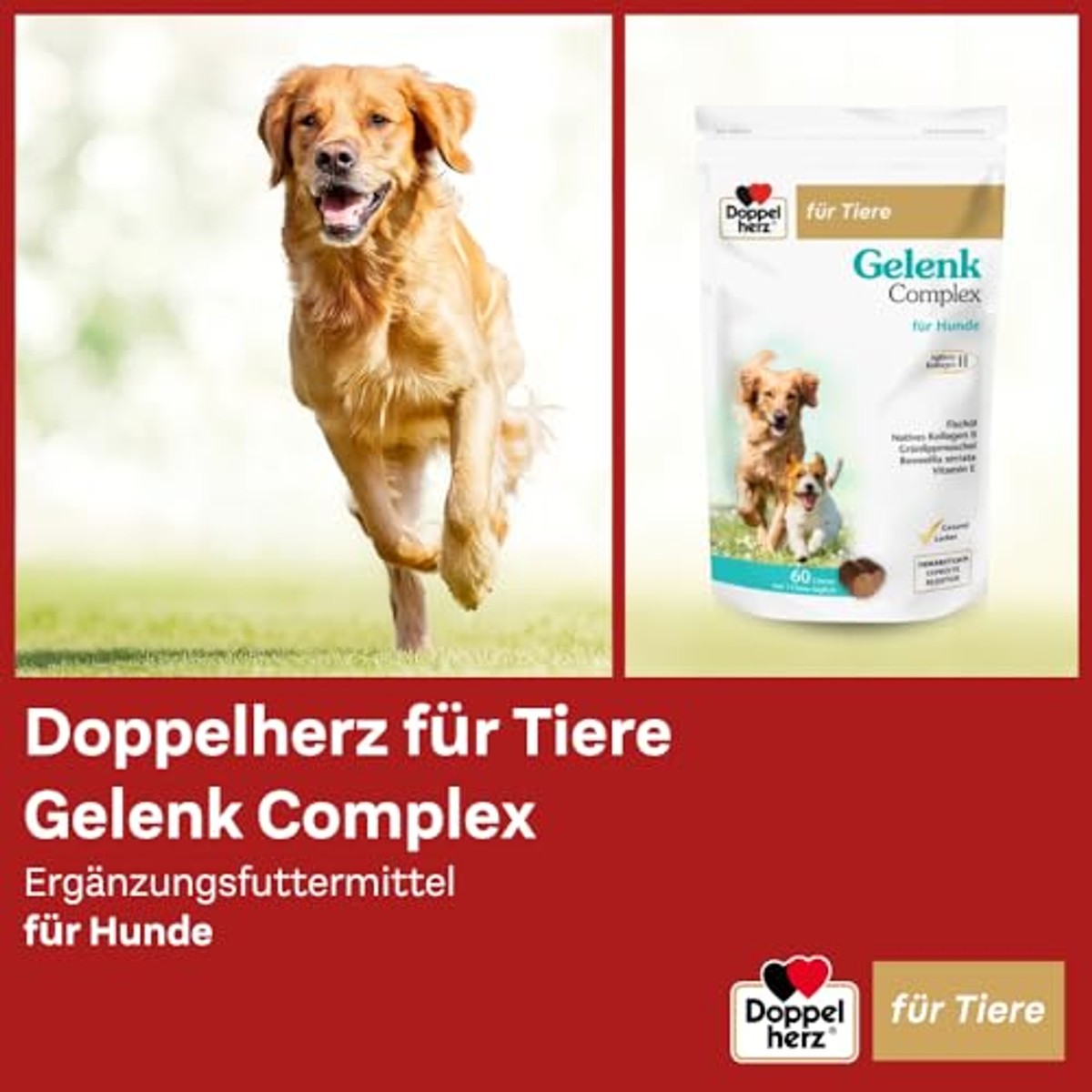 Doppelherz Voor dieren gewrichtscomplex voor honden – Doppelherz