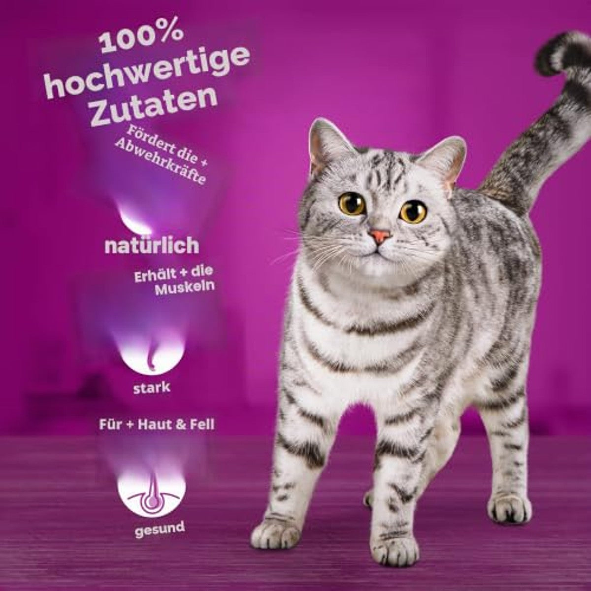 Whiskas Duo Mix Lekker natvoer kattenvoer gemengde selectie 52 x 85 g - 3-pack