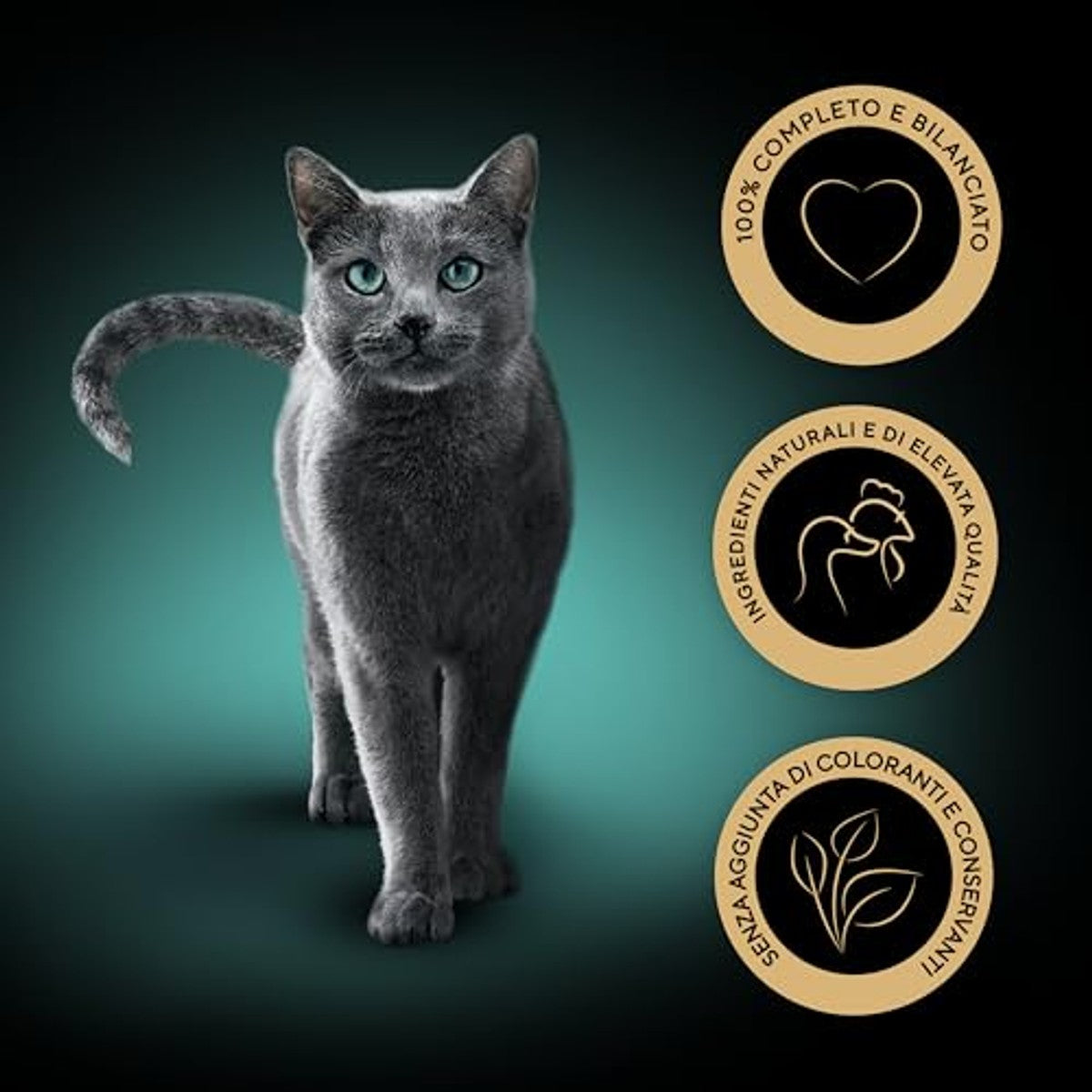 Sheba Nature's Collection natvoer kattenvoer zalm en erwten 22 x 85 g - 3-pack