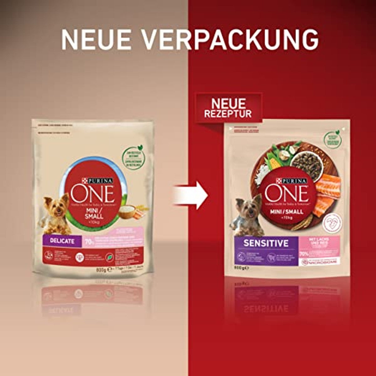 PURINA ONE Mini/Small Delicate voor kleine honden, rijk aan zalm, 8 x 800 g – PURINA ONE