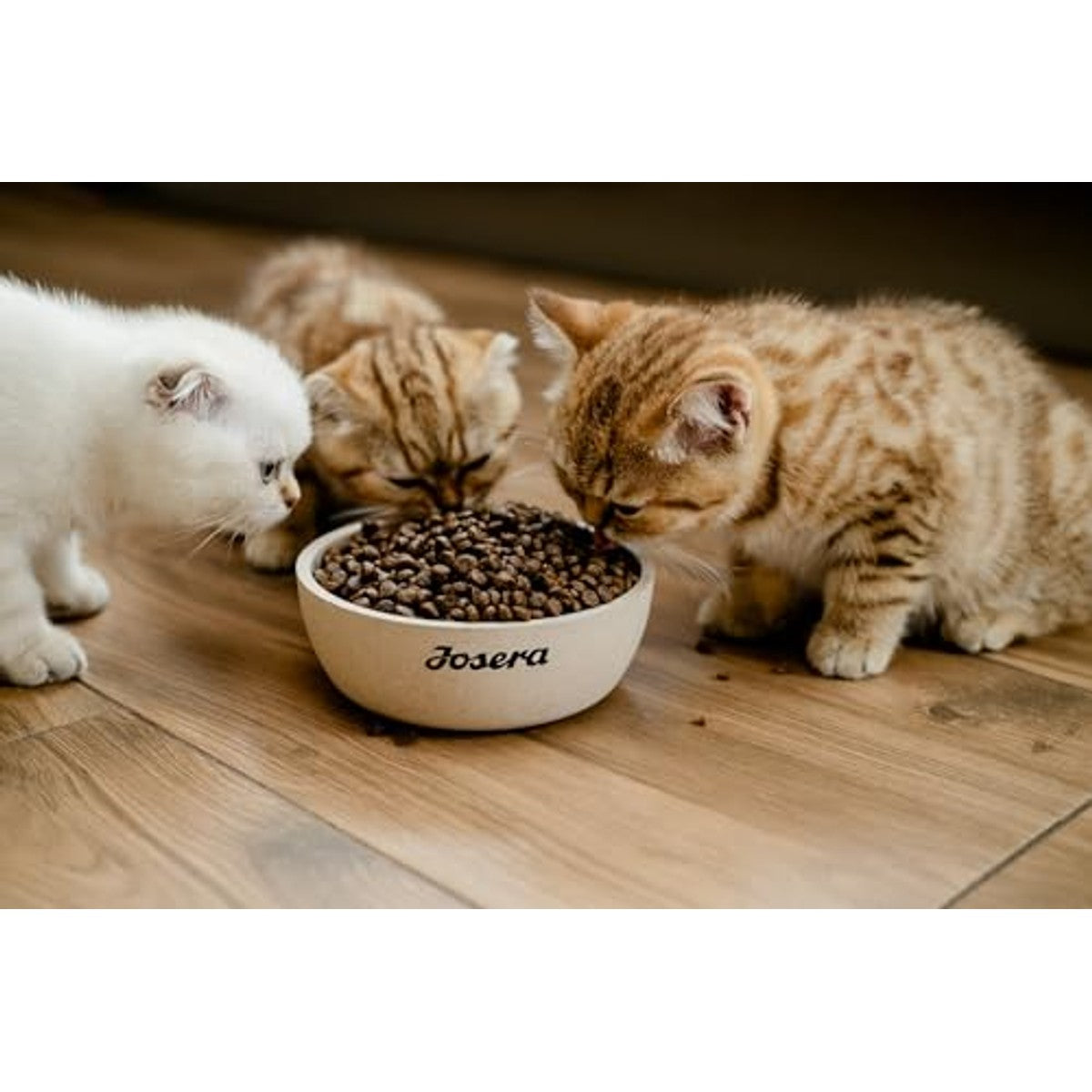 Josera SensiCat droogvoer kat gevogelte & rijst - 6-pack – foto 3