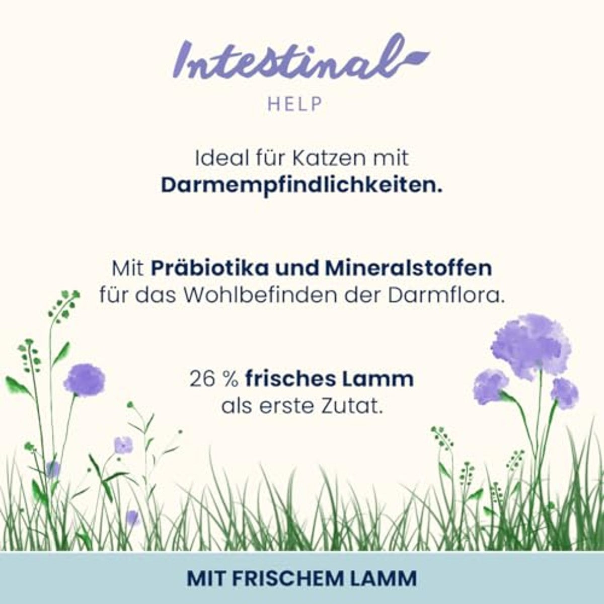 Almo Nature Darmondersteuning Droogvoer voor Volwassen Katten met Vers Lam 400 g - 6-pack