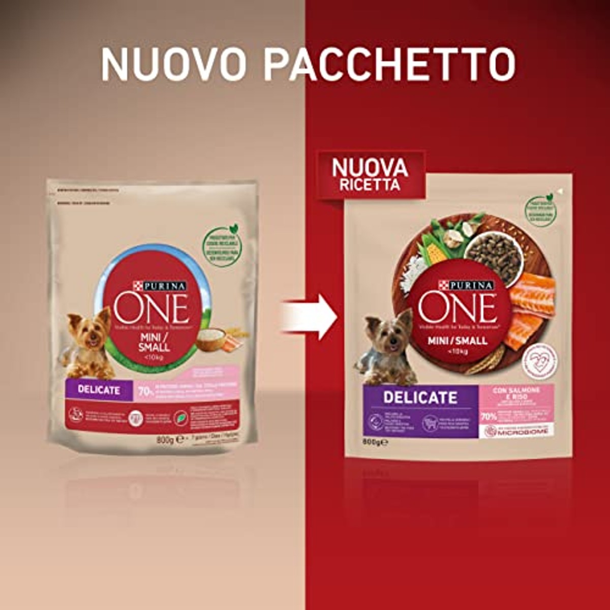 Purina One Mini Delicate droogvoer voor kleine honden met zalm en rijst, 8 verpakkingen van 800 g à 10 kg – PURINA ONE