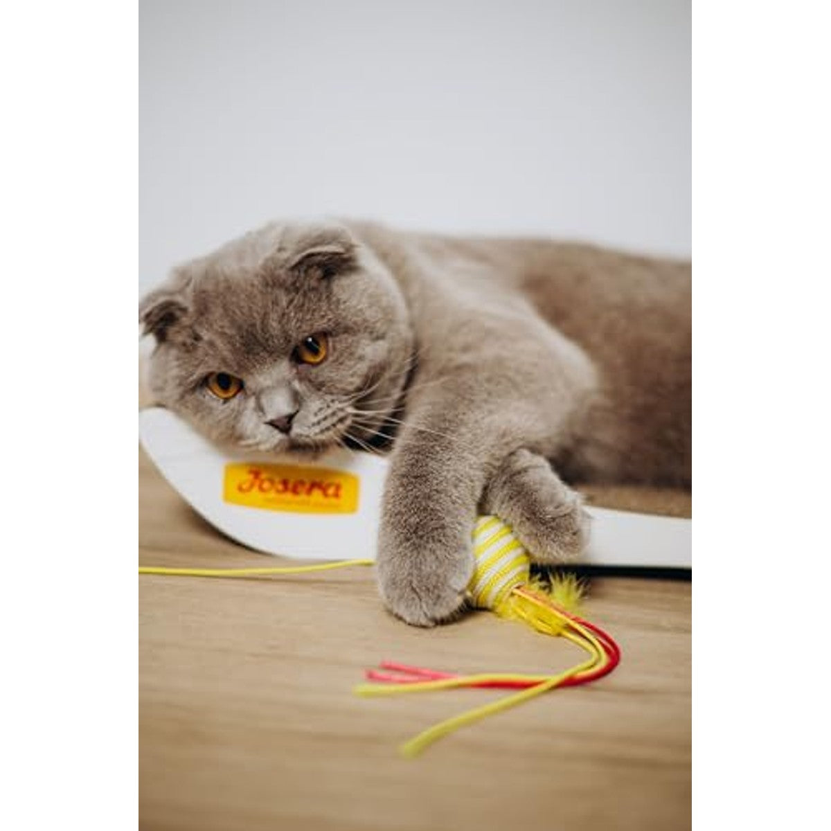JosiCat Sterilised Classic Droogvoer Kat Gevogelte 10 kg - 3-pack