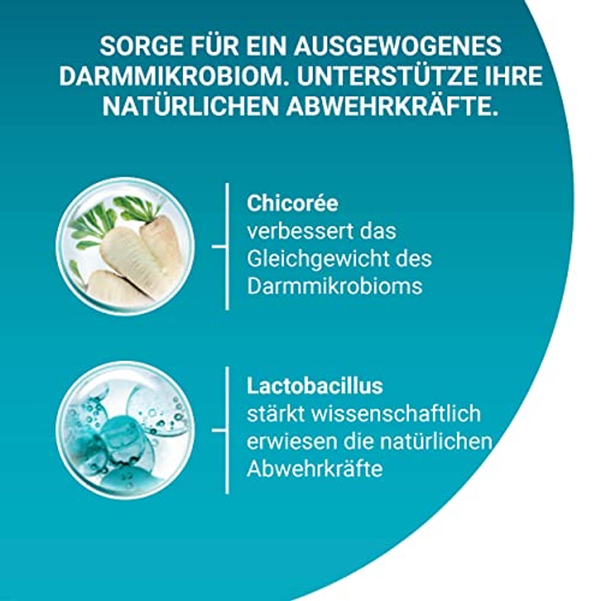 PURINA ONE BIFENSIS Volwassene, rijk aan zalm, 4 x 2,8 kg | Kattenvoer droog, rijk aan zalm – PURINA ONE