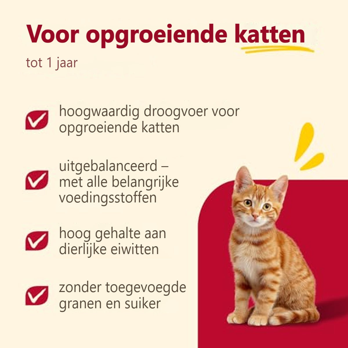 animonda Carny Kitten droogvoer kat kip 1,75 kg - 6-pack – foto 3