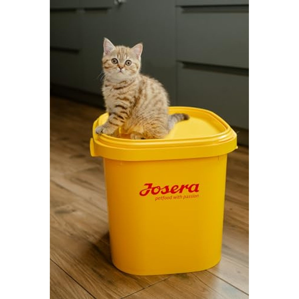 Josera Carismo droogvoer kat senior gevogelte 2 kg - 6-pack